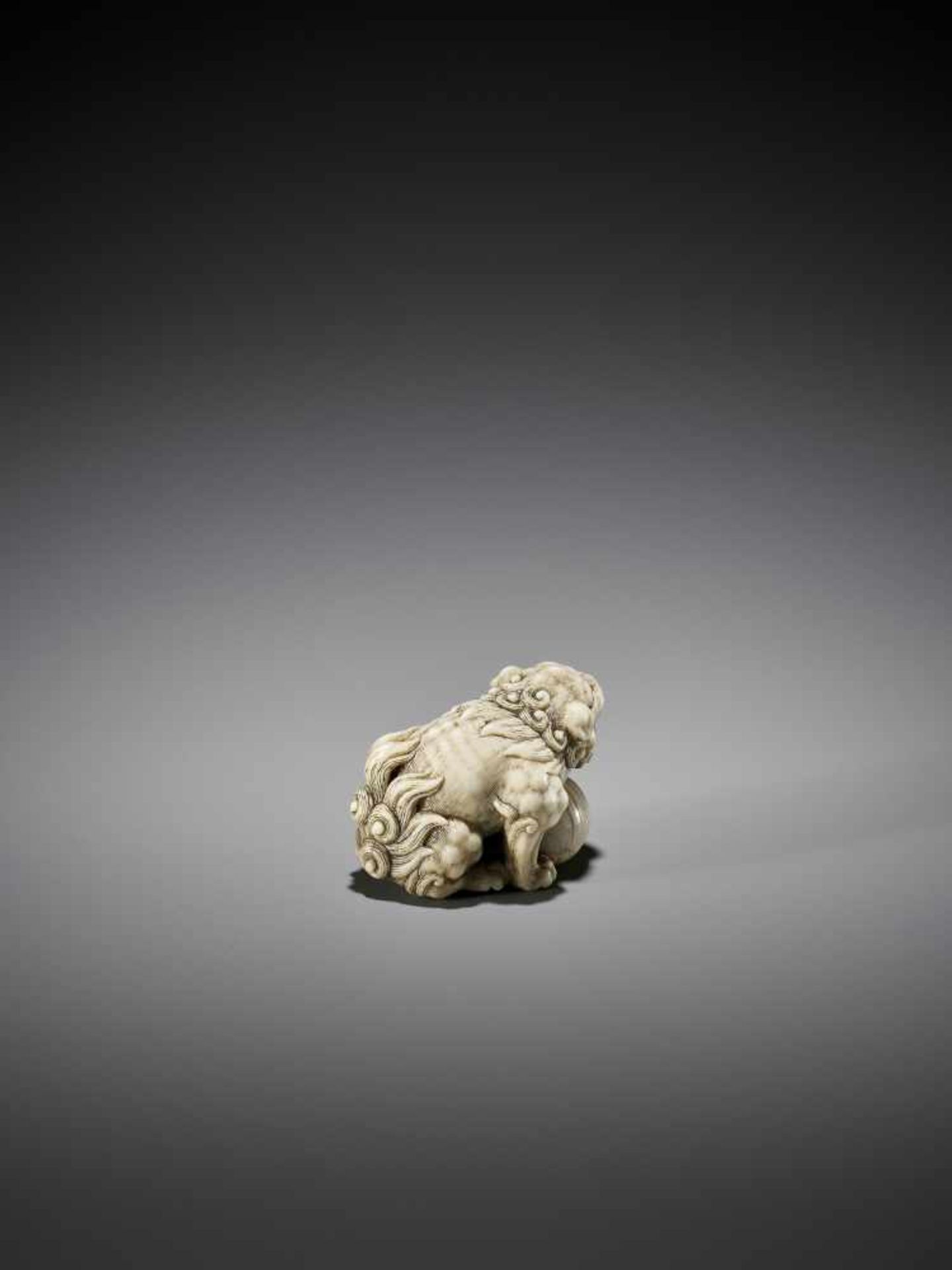 OKATORI: AN EXCELLENT IVORY NETSUKE OF A SHISHI WITH BALL - Bild 8 aus 13