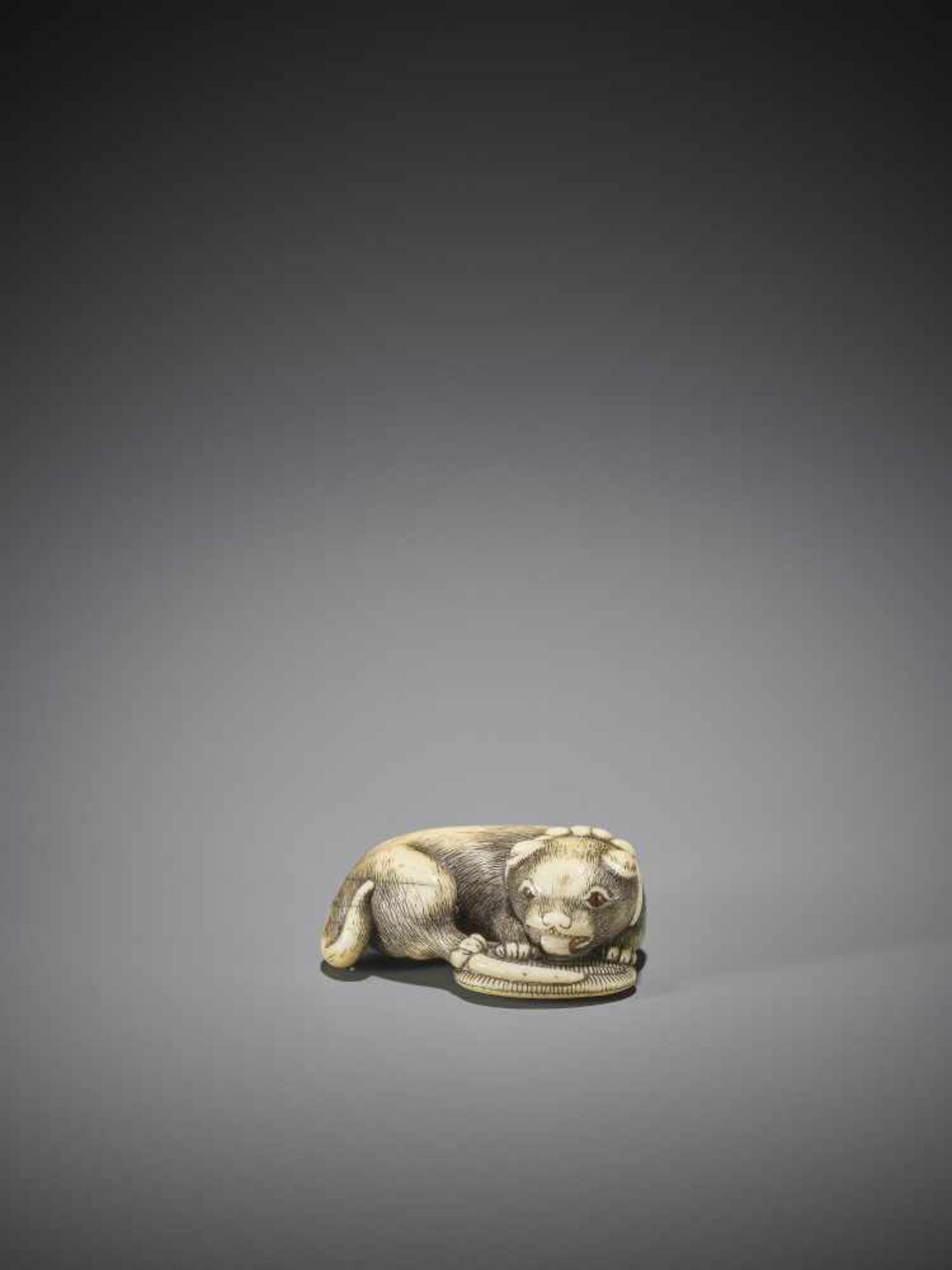 AN OSAKA SCHOOL IVORY NETSUKE OF A DOG WITH SANDAL