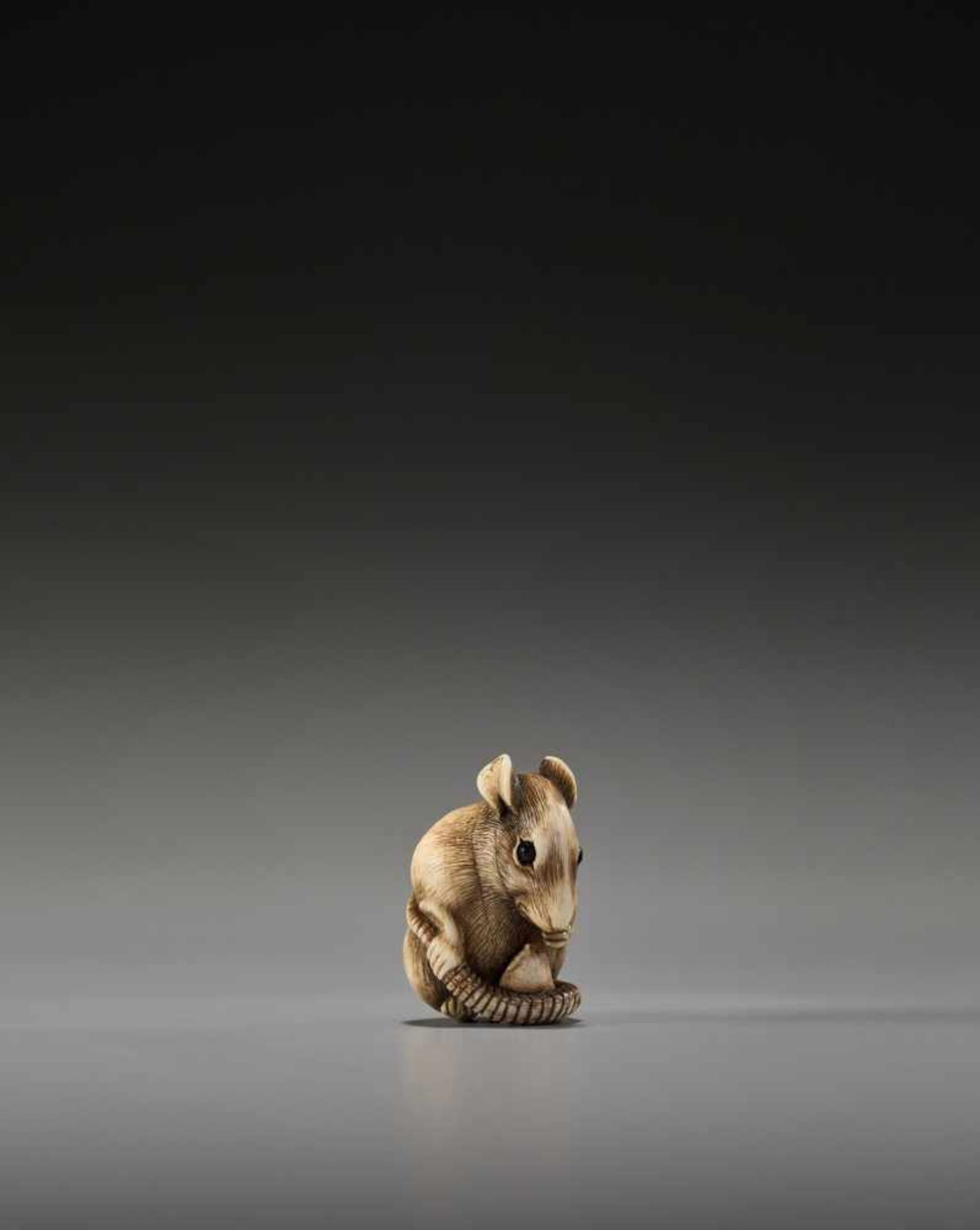 A POWERFUL KYOTO SCHOOL IVORY NETSUKE OF A RAT WITH A BEAN POD - Image 2 of 11