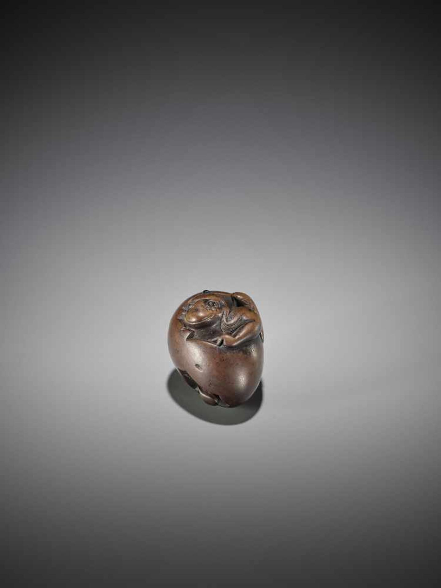 AN UNUSUAL WOOD NETSUKE OF A HATCHING TENGU - Bild 3 aus 8