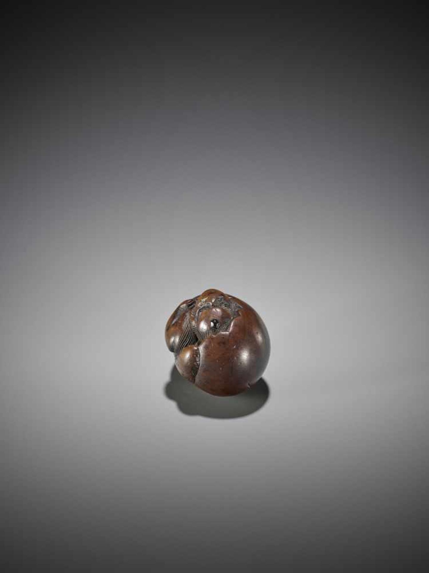 AN UNUSUAL WOOD NETSUKE OF A HATCHING TENGU - Bild 5 aus 8