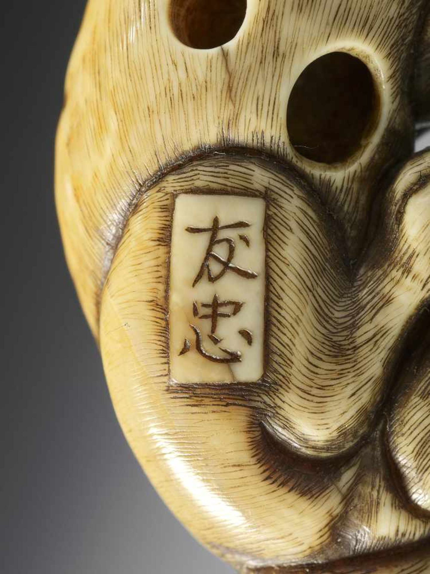 TOMOTADA: A SUPERB IVORY NETSUKE OF A DOG WITH HAMAGURI CLAM - Bild 10 aus 10