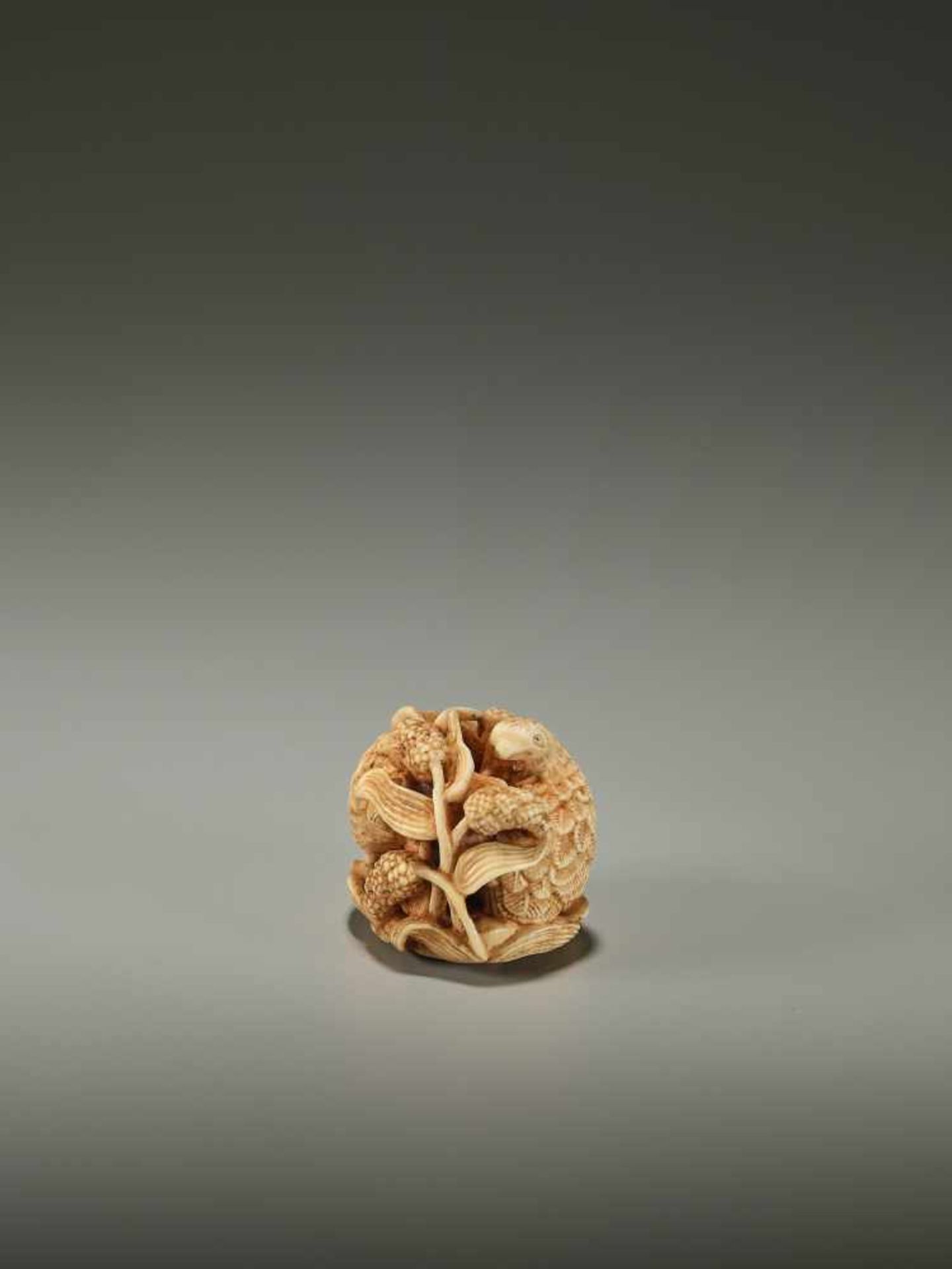 KAGETOSHI: AN IVORY NETSUKE OF TWO QUAILS - Image 6 of 12