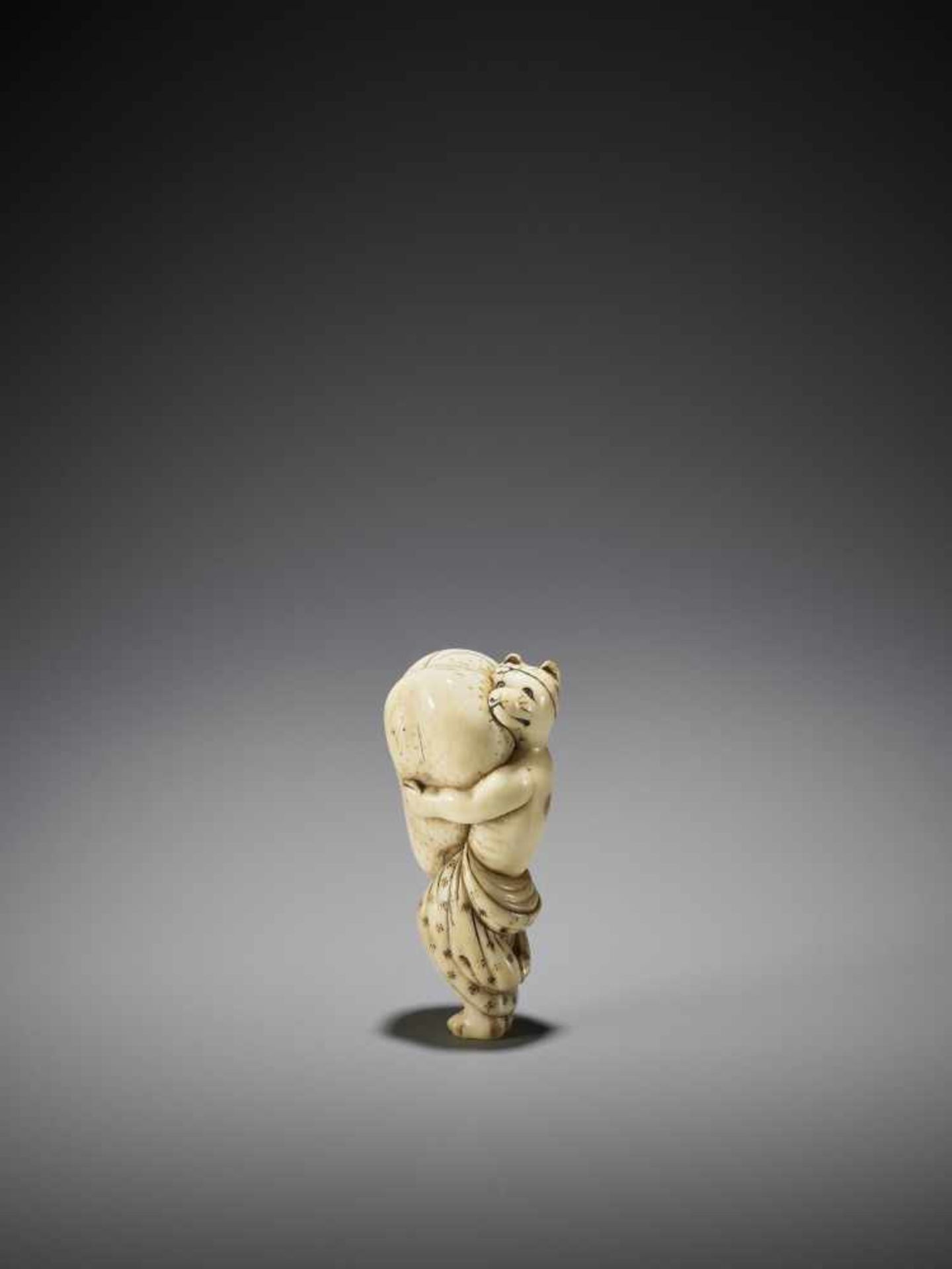 A LARGE AND AMUSING IVORY NETSUKE OF A TANUKI WITH HUGE SCROTUM - Image 8 of 9