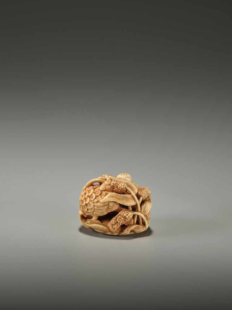 KAGETOSHI: AN IVORY NETSUKE OF TWO QUAILS - Image 5 of 12