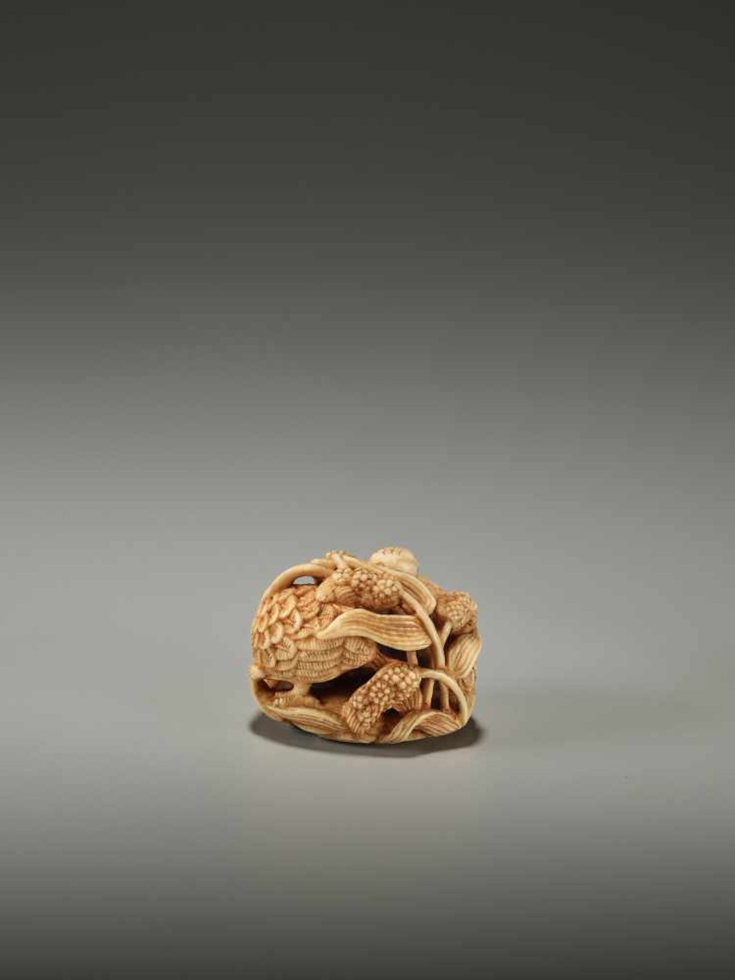 KAGETOSHI: AN IVORY NETSUKE OF TWO QUAILS - Image 5 of 12