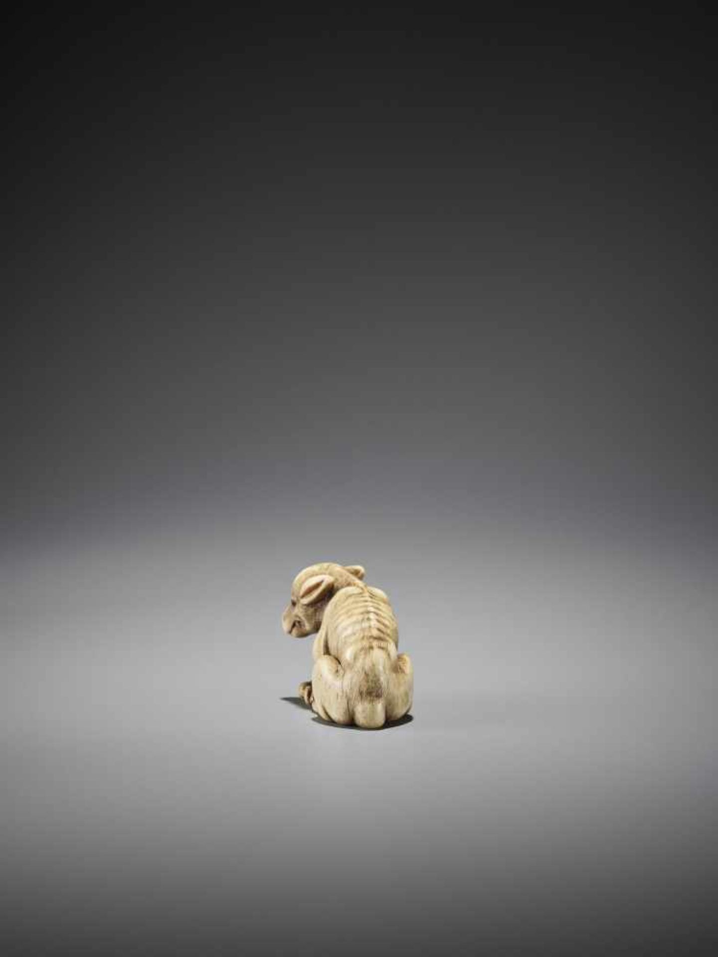 AN EXCELLENT AND RARE BONE NETSUKE OF A WOLF WITH CRAB - Image 7 of 13