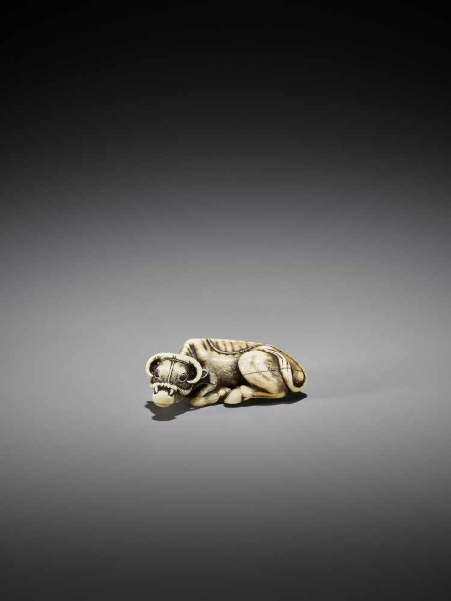 TOMOTADA: AN IVORY NETSUKE OF A RECUMBENT OX