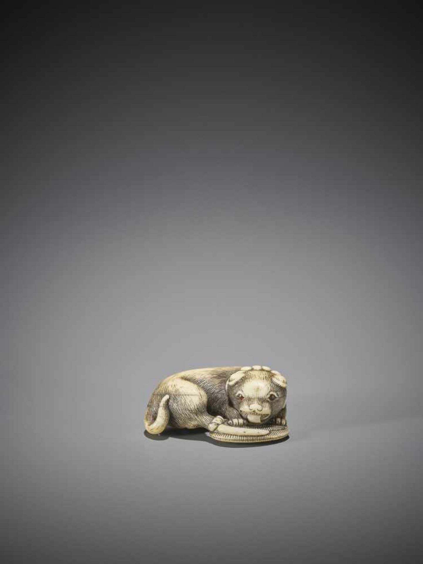 AN OSAKA SCHOOL IVORY NETSUKE OF A DOG WITH SANDAL - Image 8 of 8