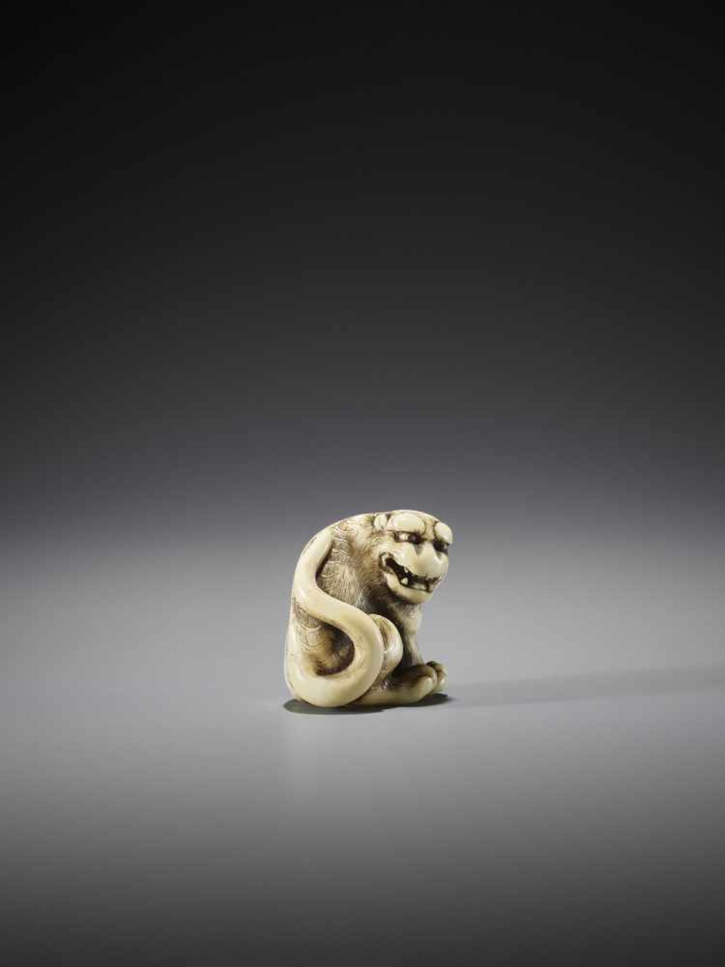 OKAKOTO: A SUPERB IVORY NETSUKE OF A TIGER - Image 9 of 12