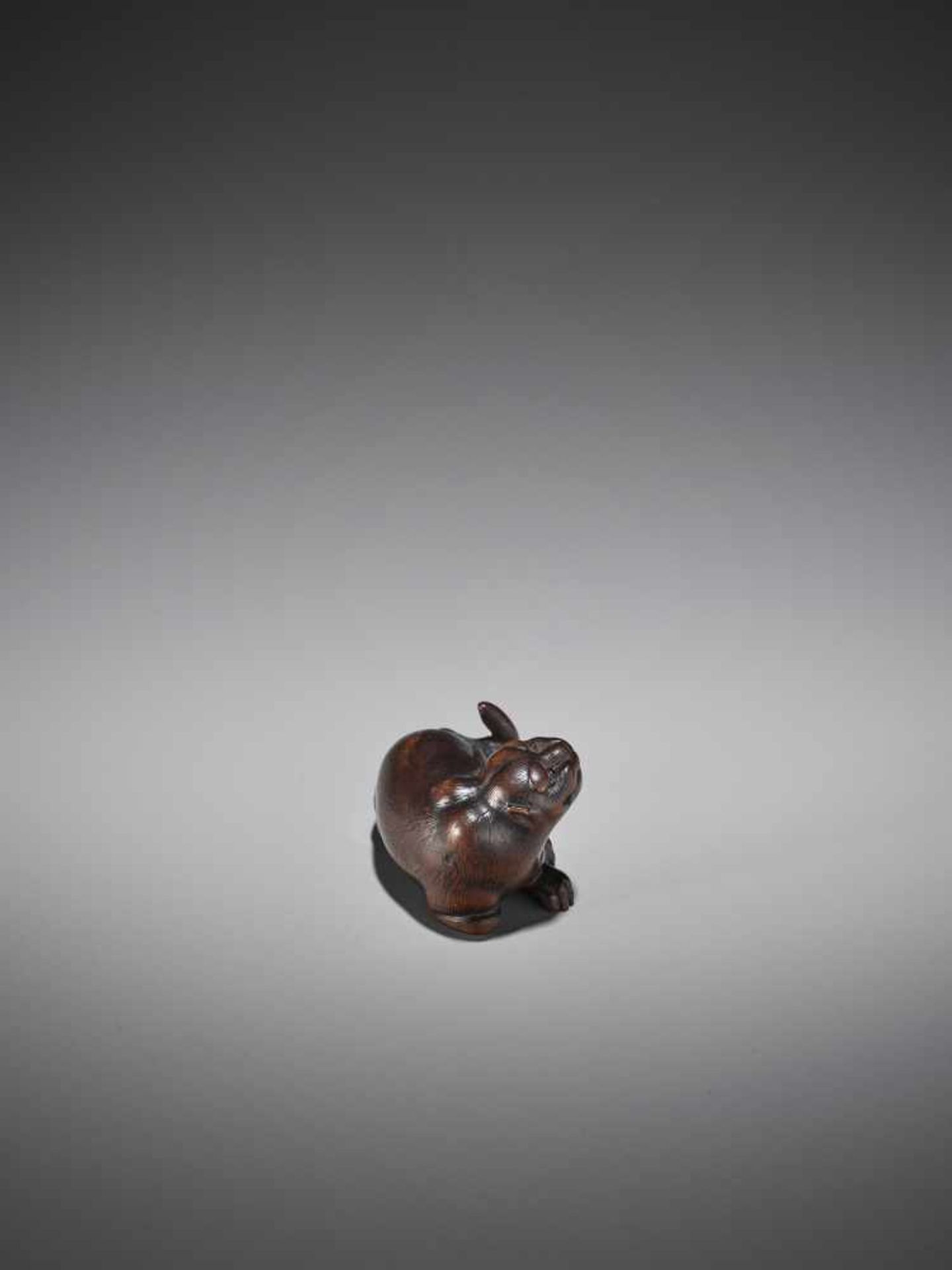 RANTEI: A RARE WOOD NETSUKE OF A TIGER - Bild 7 aus 11