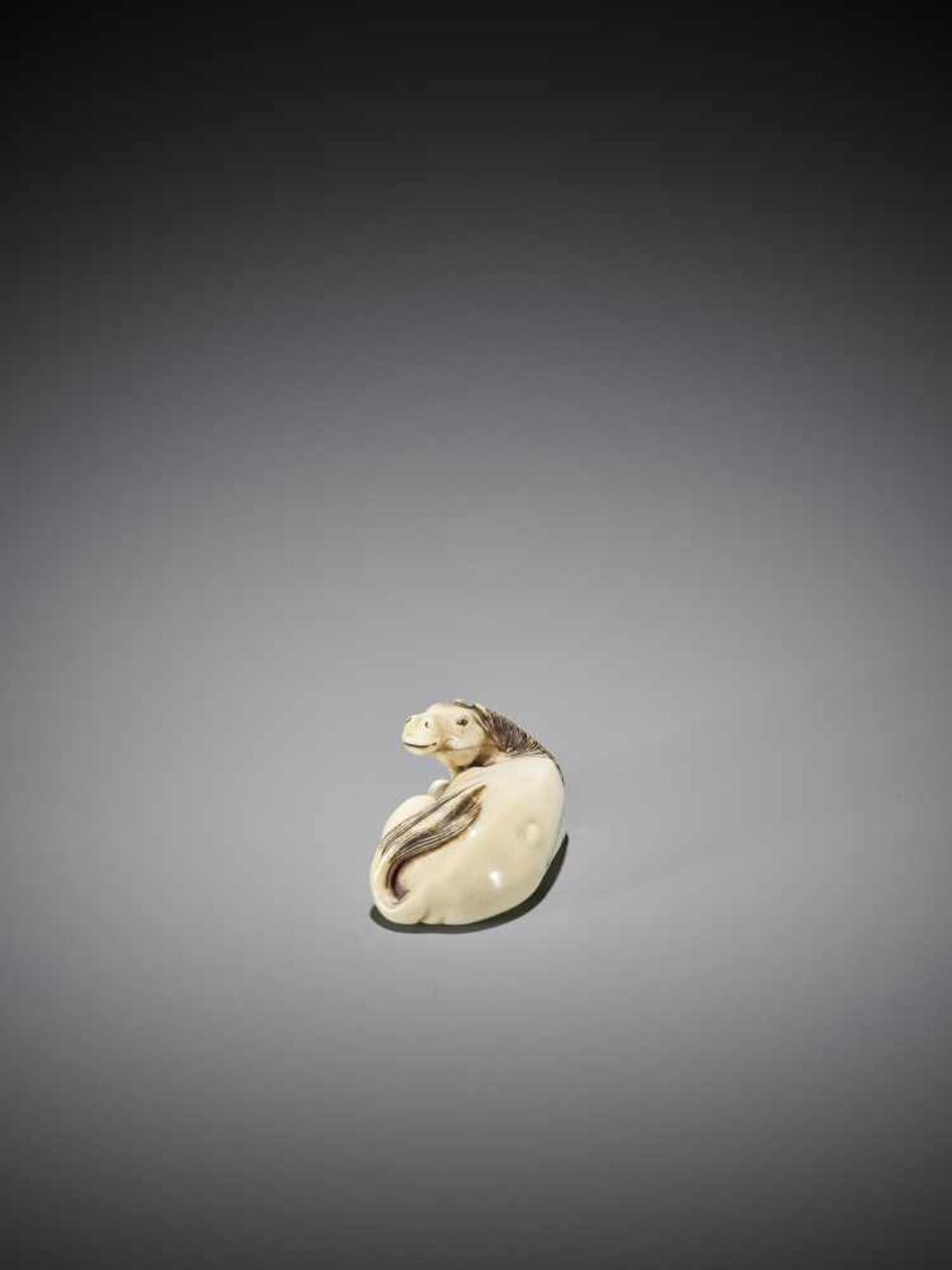 A FINE IVORY NETSUKE OF A RECUMBENT HORSE - Bild 2 aus 8