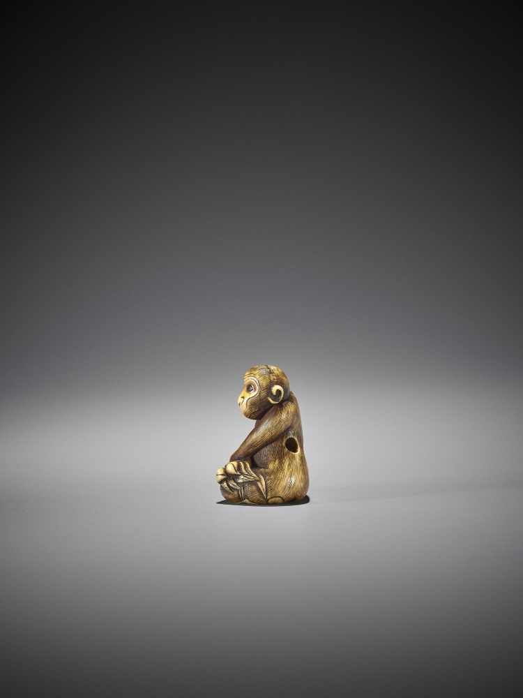 MITSUHARU: AN IVORY NETSUKE OF A MONKEY - Image 5 of 10