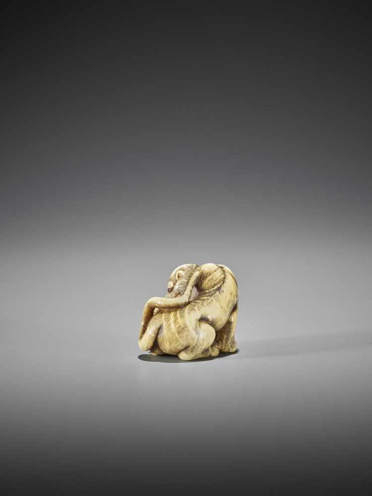 UNSHO HAKURYU I: AN EXCEPTIONAL IVORY NETSUKE OF A TIGER WITH CUB - Image 3 of 10