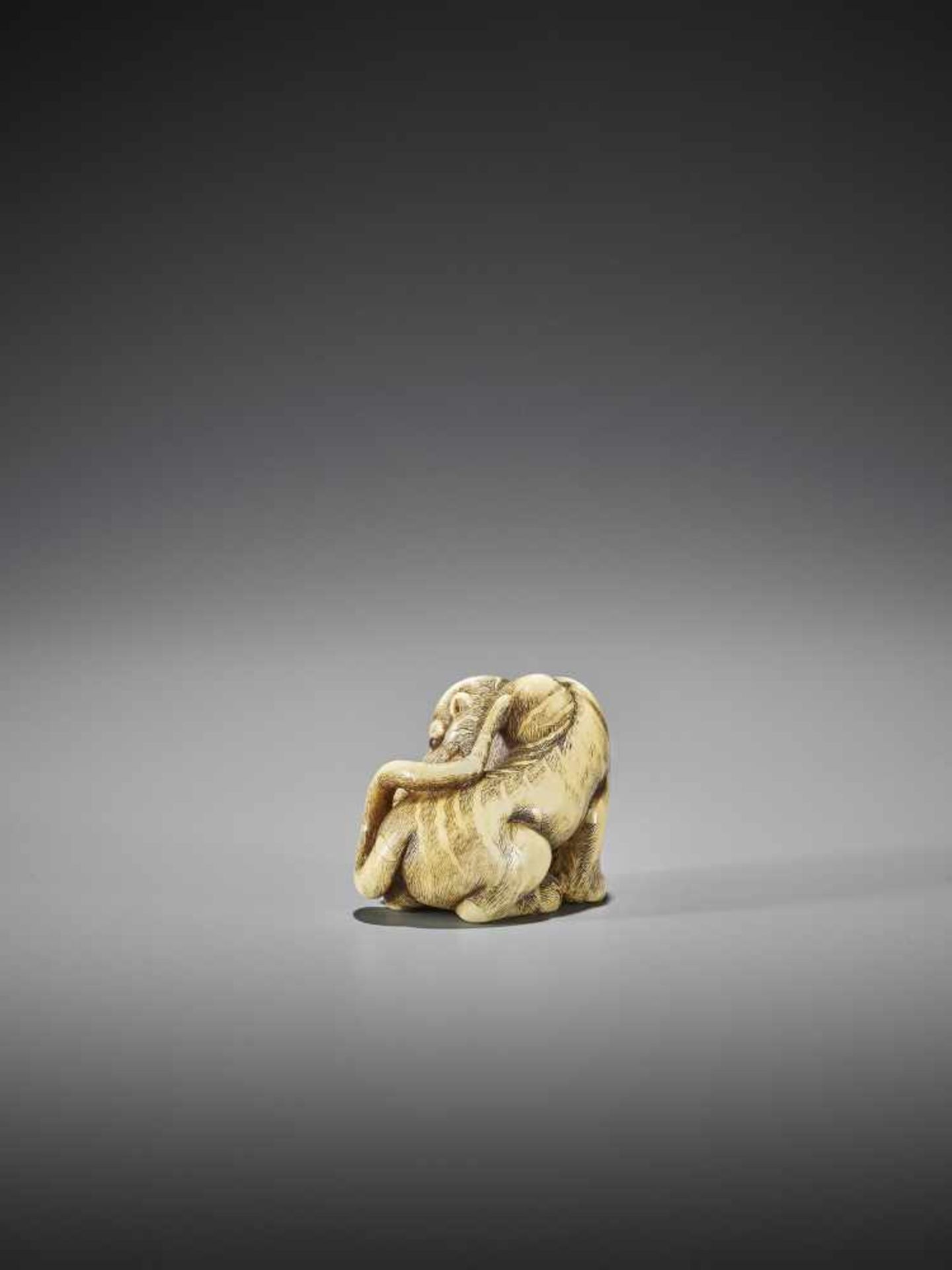 UNSHO HAKURYU I: AN EXCEPTIONAL IVORY NETSUKE OF A TIGER WITH CUB - Bild 3 aus 10