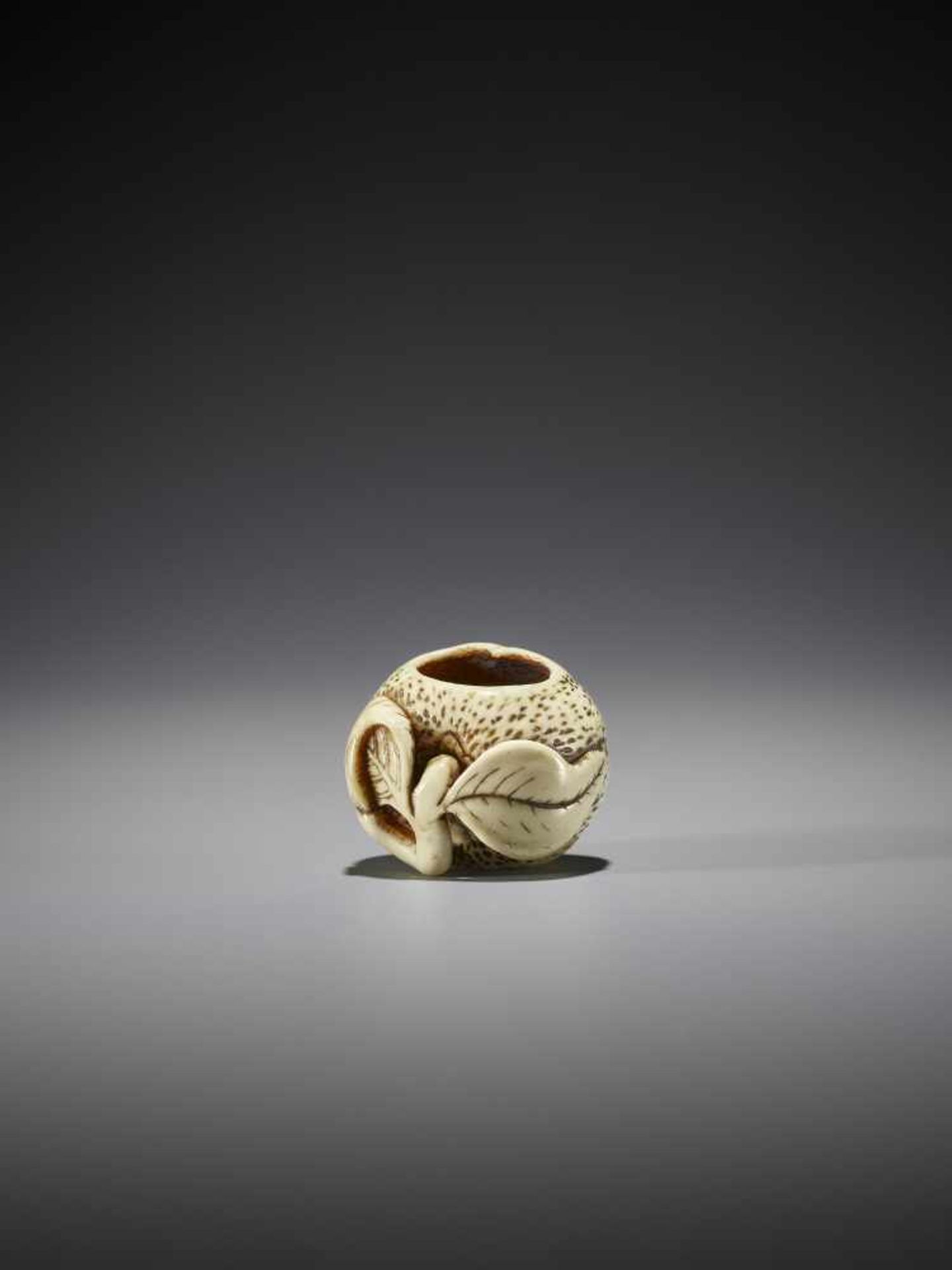 AN IVORY NETSUKE OF TWO SAGES INSIDE A MIKAN - Image 6 of 7