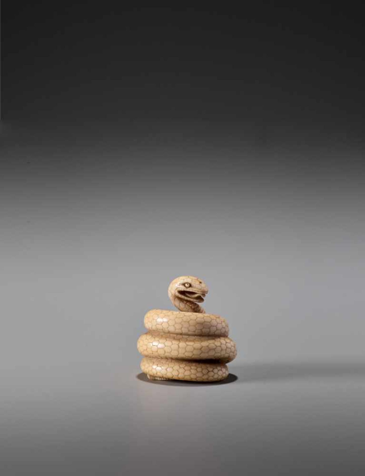 MASANAO: AN IVORY NETSUKE OF A COILED SNAKE - Image 8 of 10