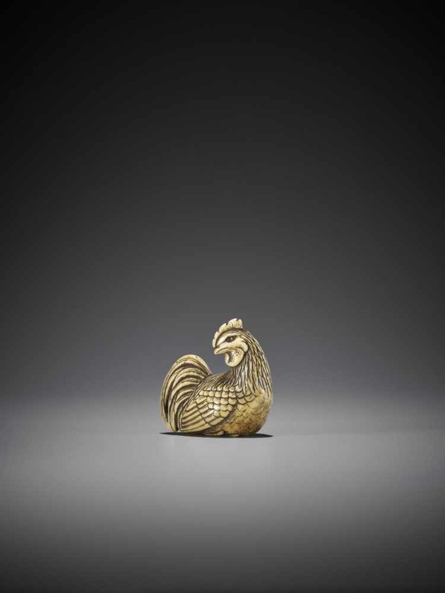 OKAKOTO: A FINE IVORY NETSUKE OF A COCKEREL - Bild 2 aus 10