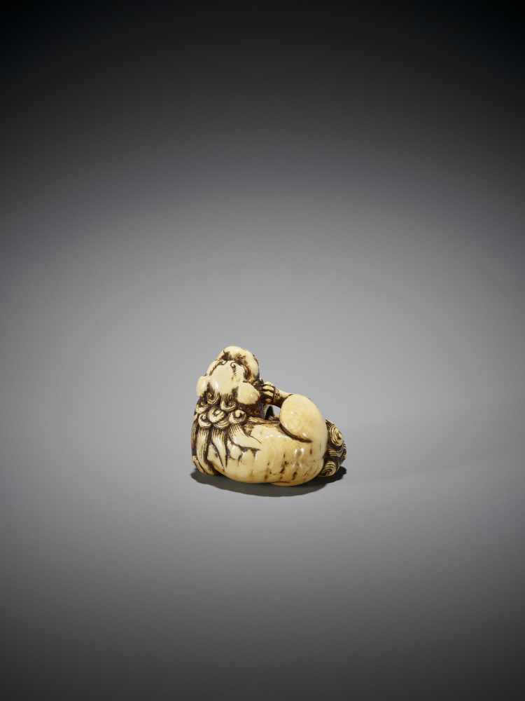 AN IVORY NETSUKE OF A SHISHI WITH BALL - Image 2 of 9