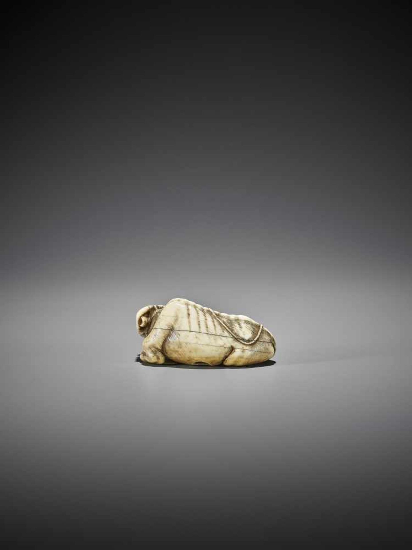 TOMOTADA: A GOOD IVORY NETSUKE OF A RECUMBENT COW WITH CALF - Image 8 of 11