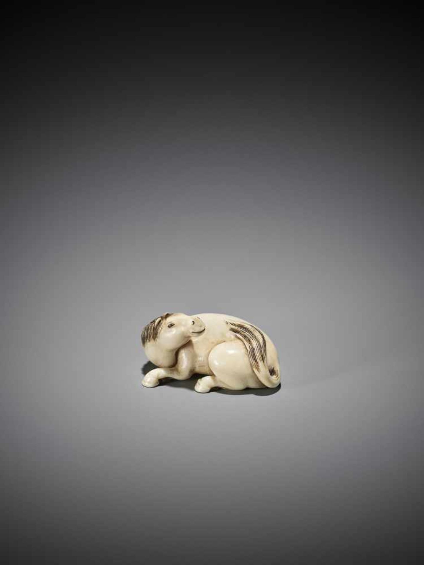 A FINE IVORY NETSUKE OF A RECUMBENT HORSE