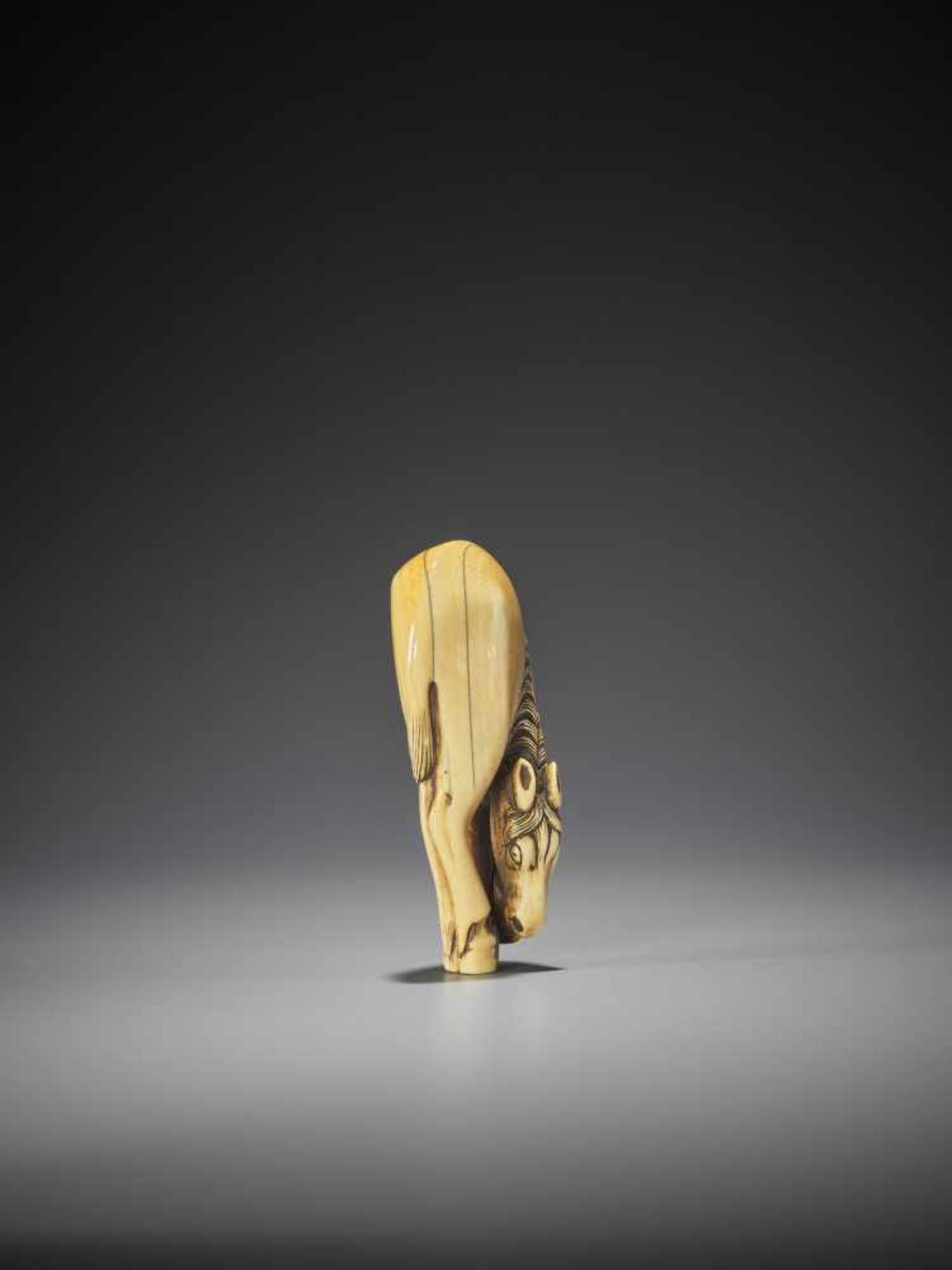 A FINE AND LARGE IVORY NETSUKE OF A GRAZING HORSE - Bild 6 aus 9