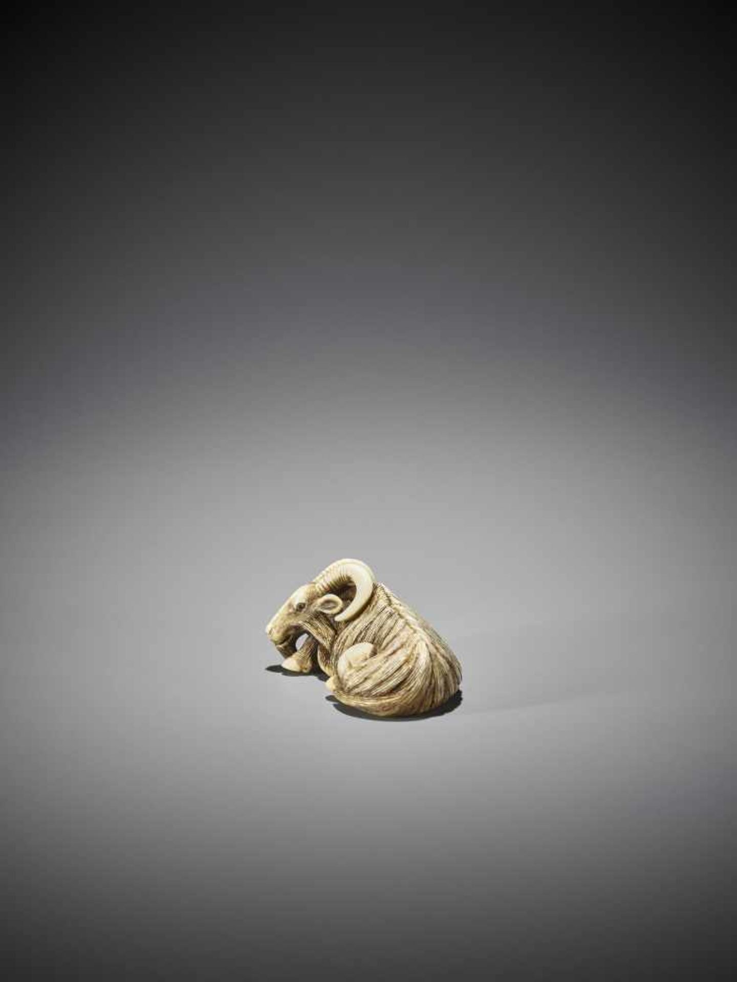 MASANAO (ATTR.): A SUPERB IVORY NETSUKE OF A RECUMBENT GOAT - Image 6 of 13