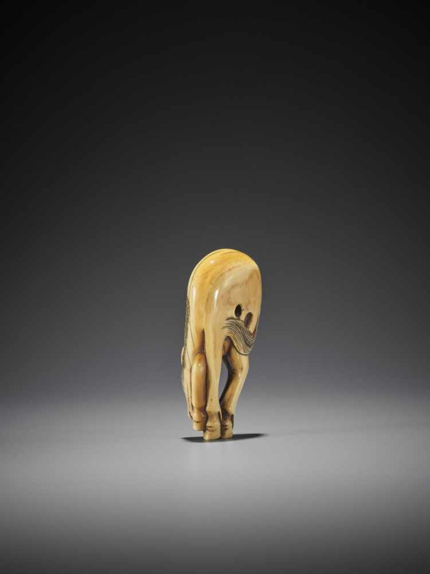 A FINE AND LARGE IVORY NETSUKE OF A GRAZING HORSE - Image 4 of 9