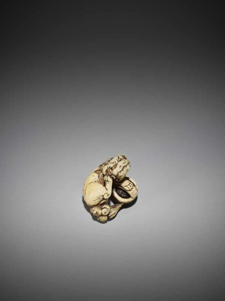 AN IVORY NETSUKE OF A SHISHI WITH BALL - Image 4 of 9