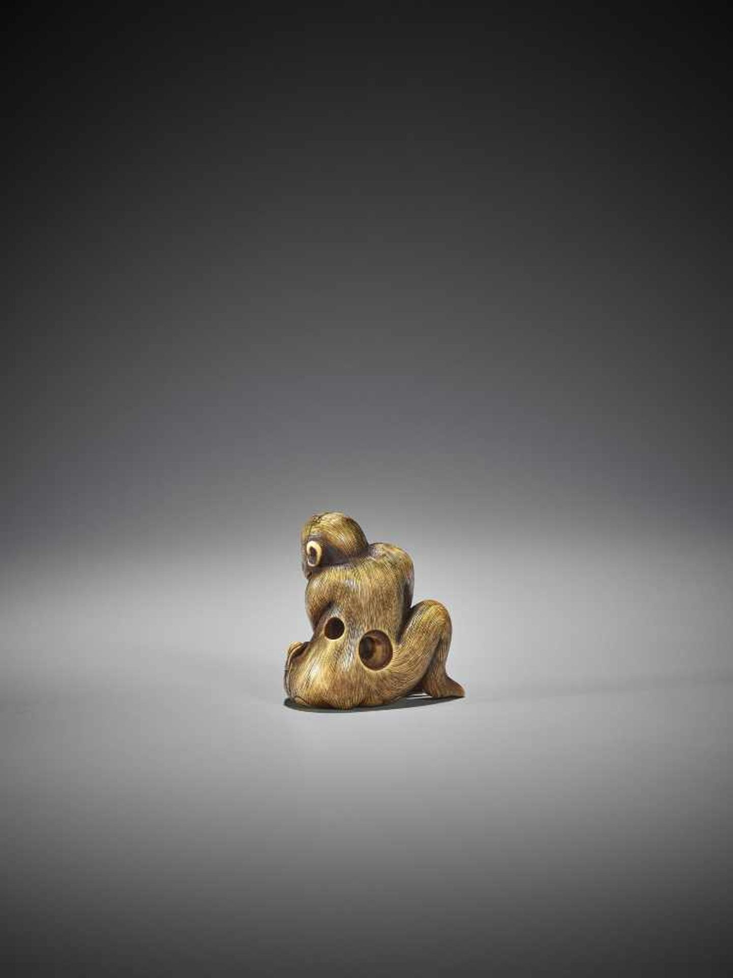 MITSUHARU: AN IVORY NETSUKE OF A MONKEY - Bild 2 aus 10