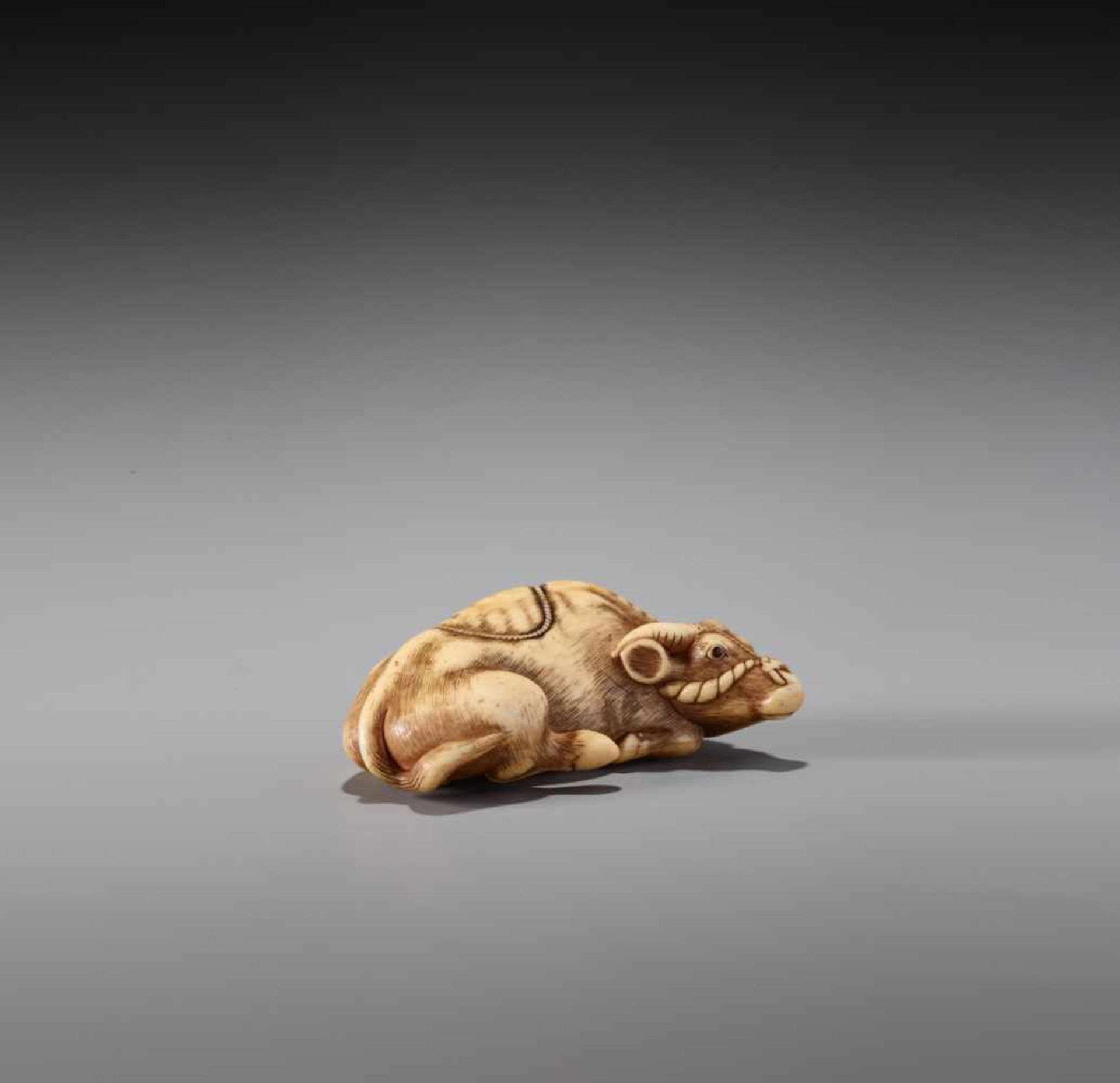 TOMOTADA: A POWERFUL IVORY NETSUKE OF A RECUMBENT OX - Bild 5 aus 9