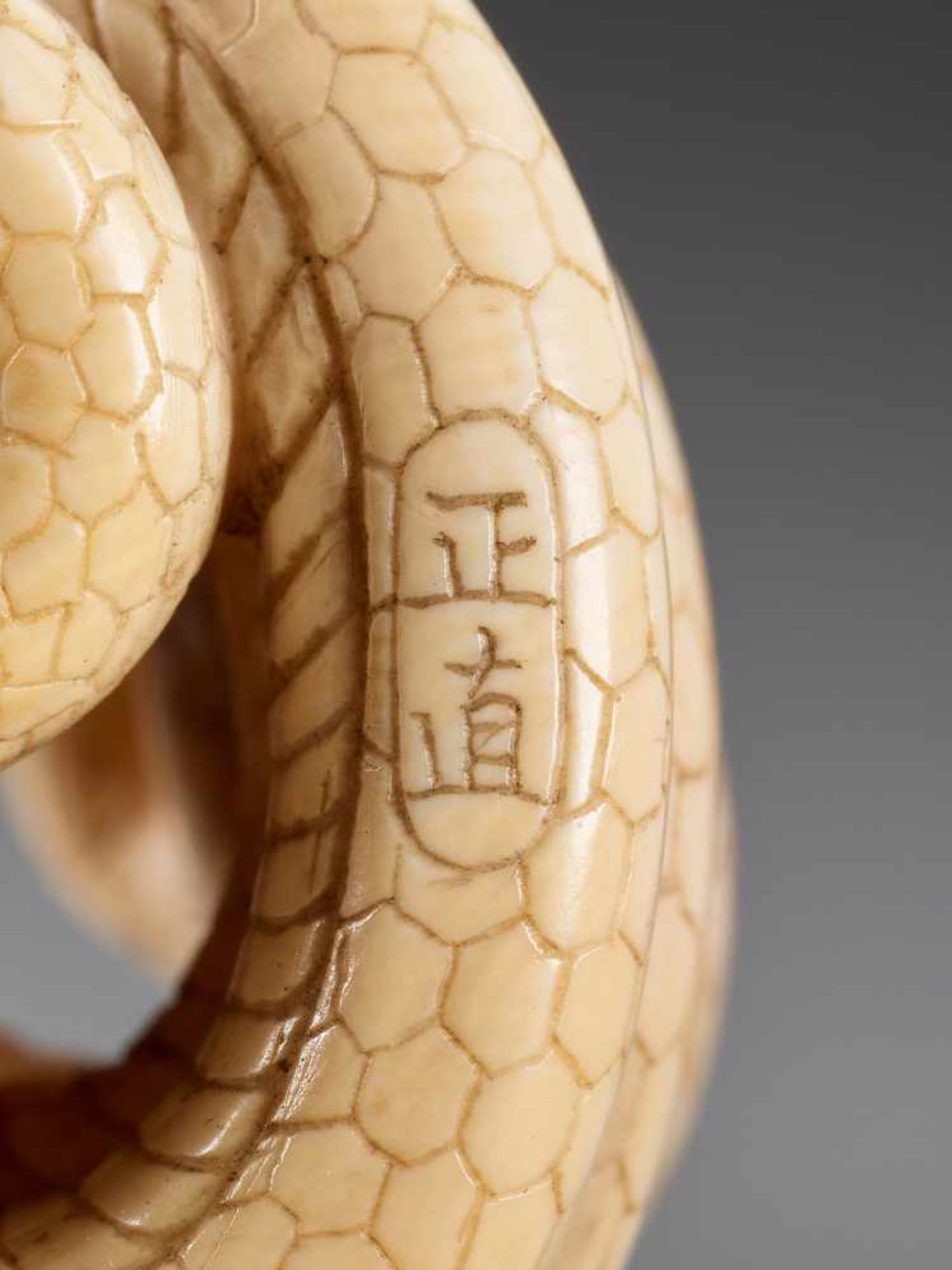 MASANAO: AN IVORY NETSUKE OF A COILED SNAKE - Image 10 of 10