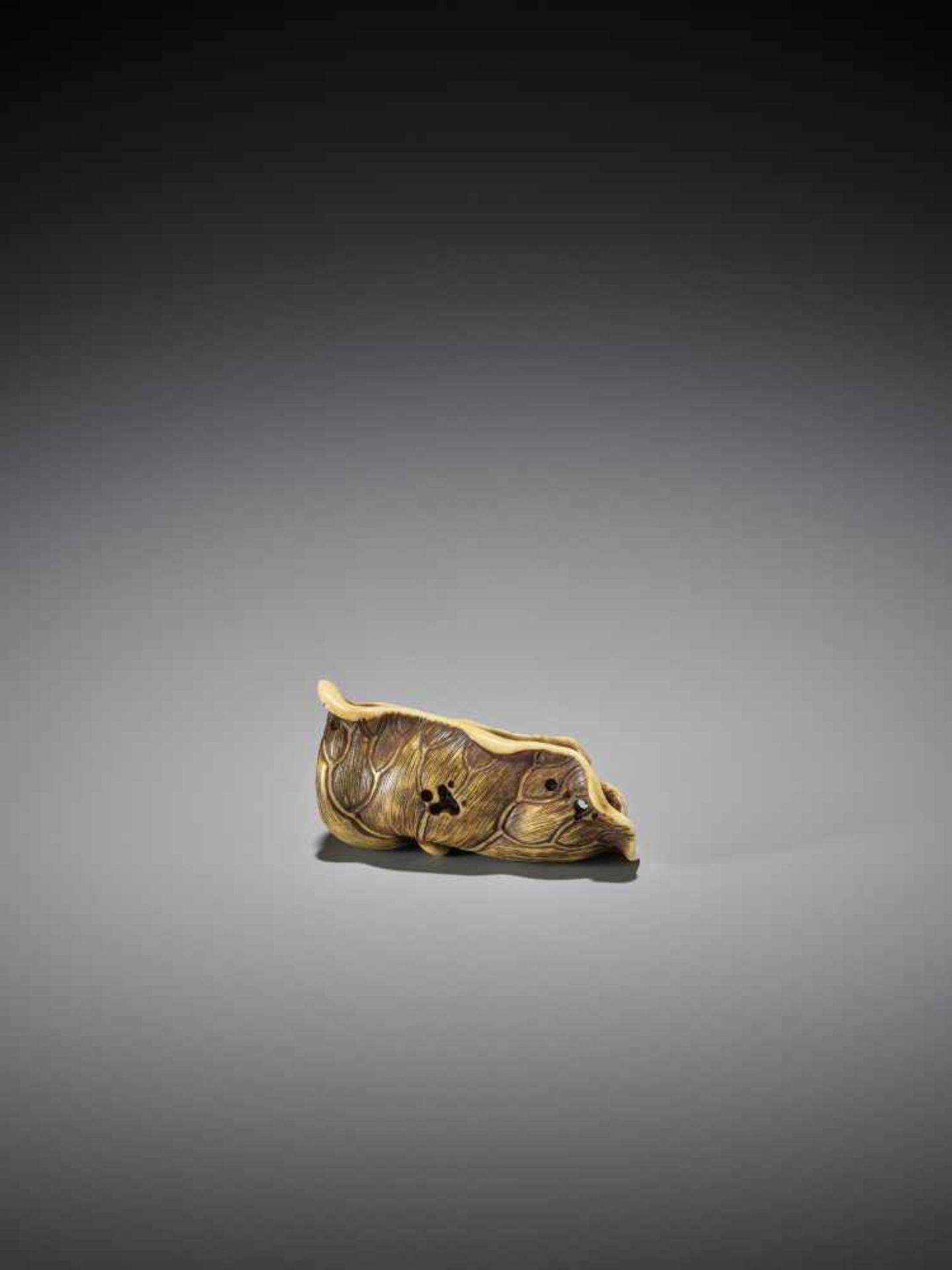 A RARE STAINED STAG ANTLER NETSUKE OF A GAKI ON LOTUS LEAF - Image 10 of 11