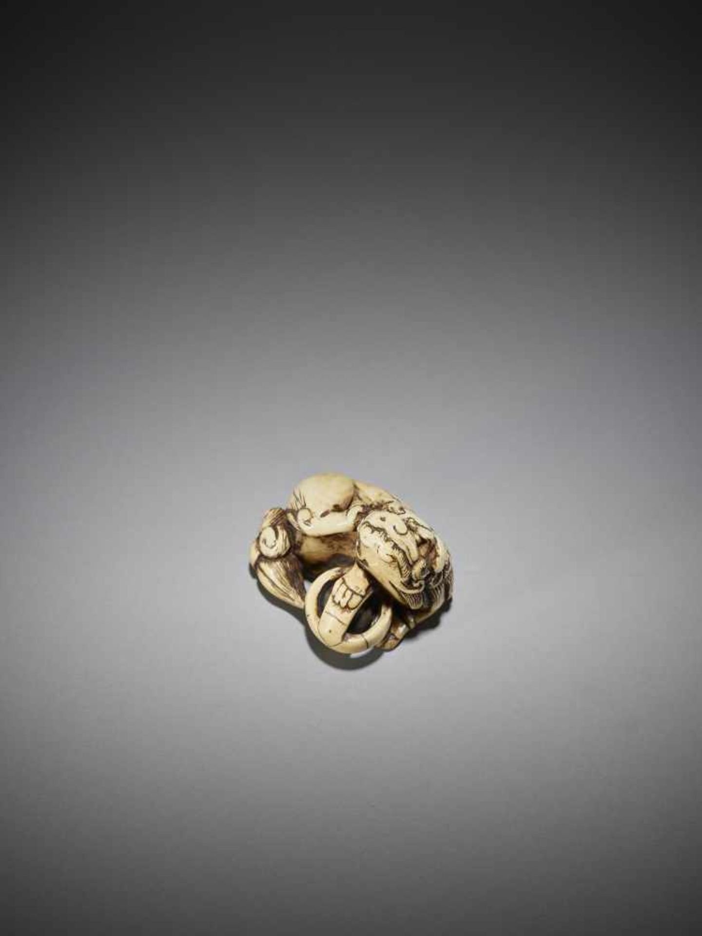 AN IVORY NETSUKE OF A SHISHI WITH BALL - Image 8 of 9