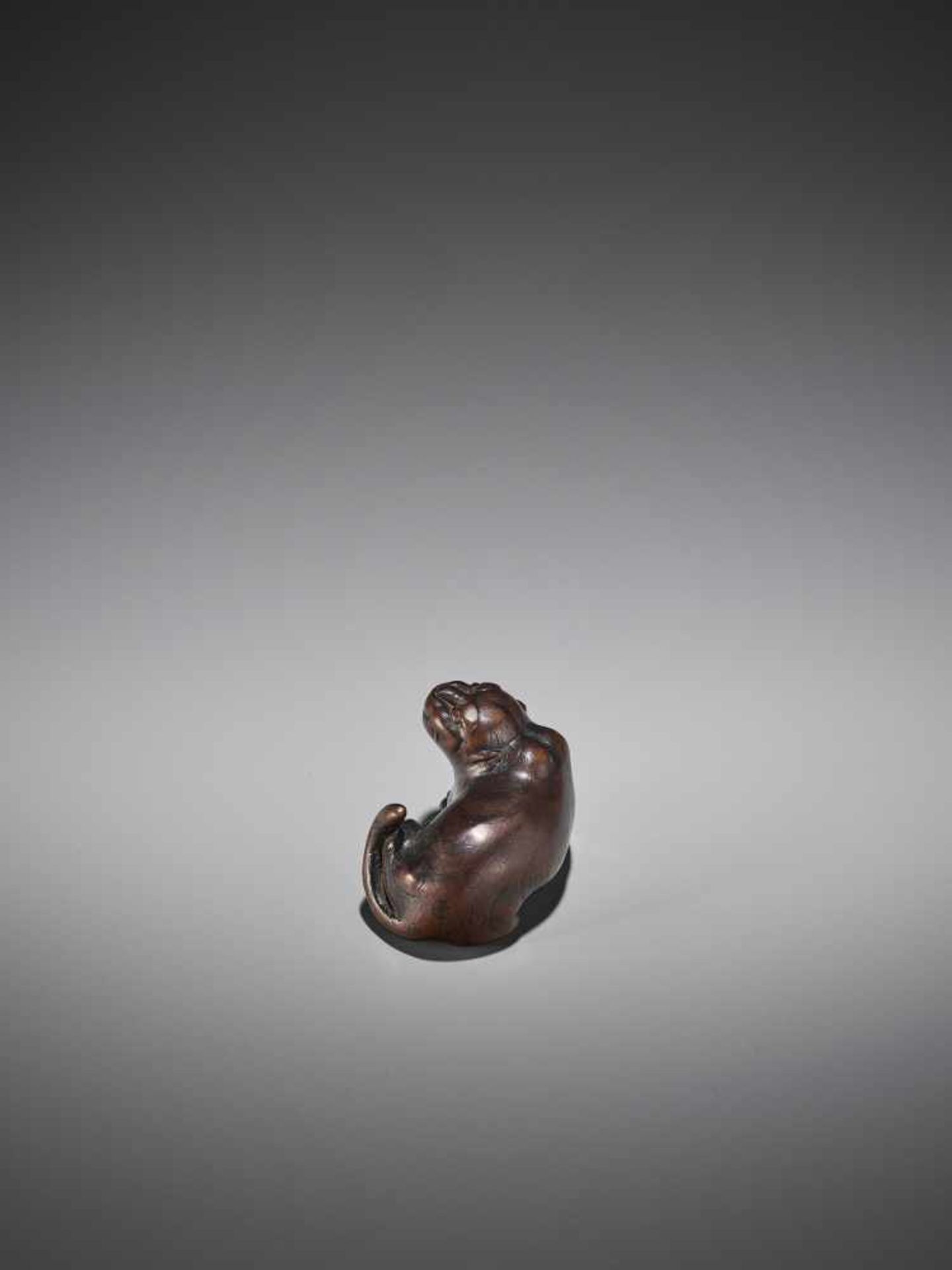 RANTEI: A RARE WOOD NETSUKE OF A TIGER - Bild 5 aus 11