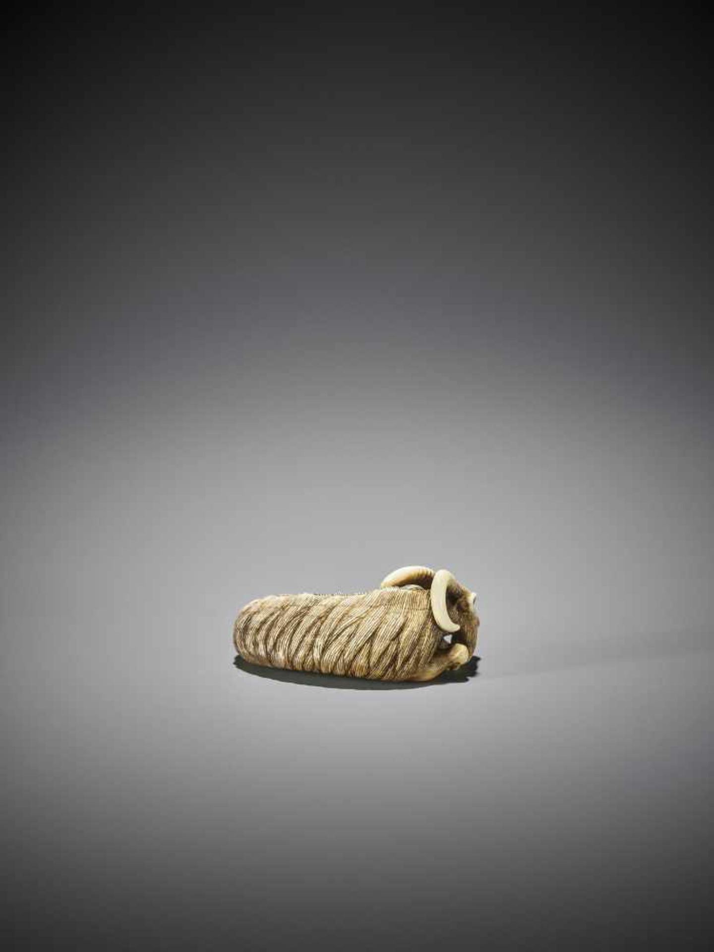 MASANAO (ATTR.): A SUPERB IVORY NETSUKE OF A RECUMBENT GOAT - Image 9 of 13