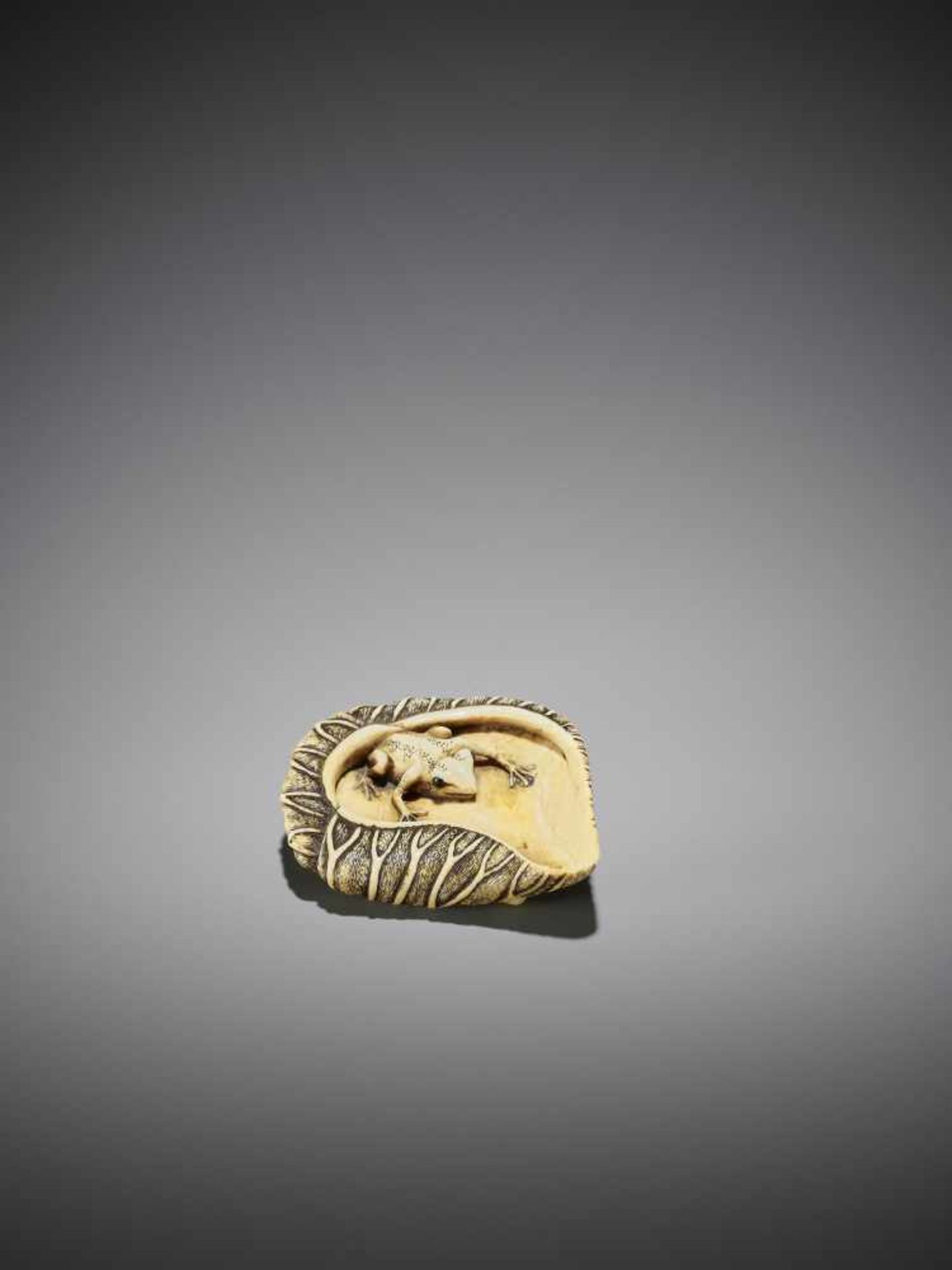 YOSHINAGA: A SUPERB IVORY NETSUKE OF A FROG IN LOTUS LEAF - Bild 7 aus 10