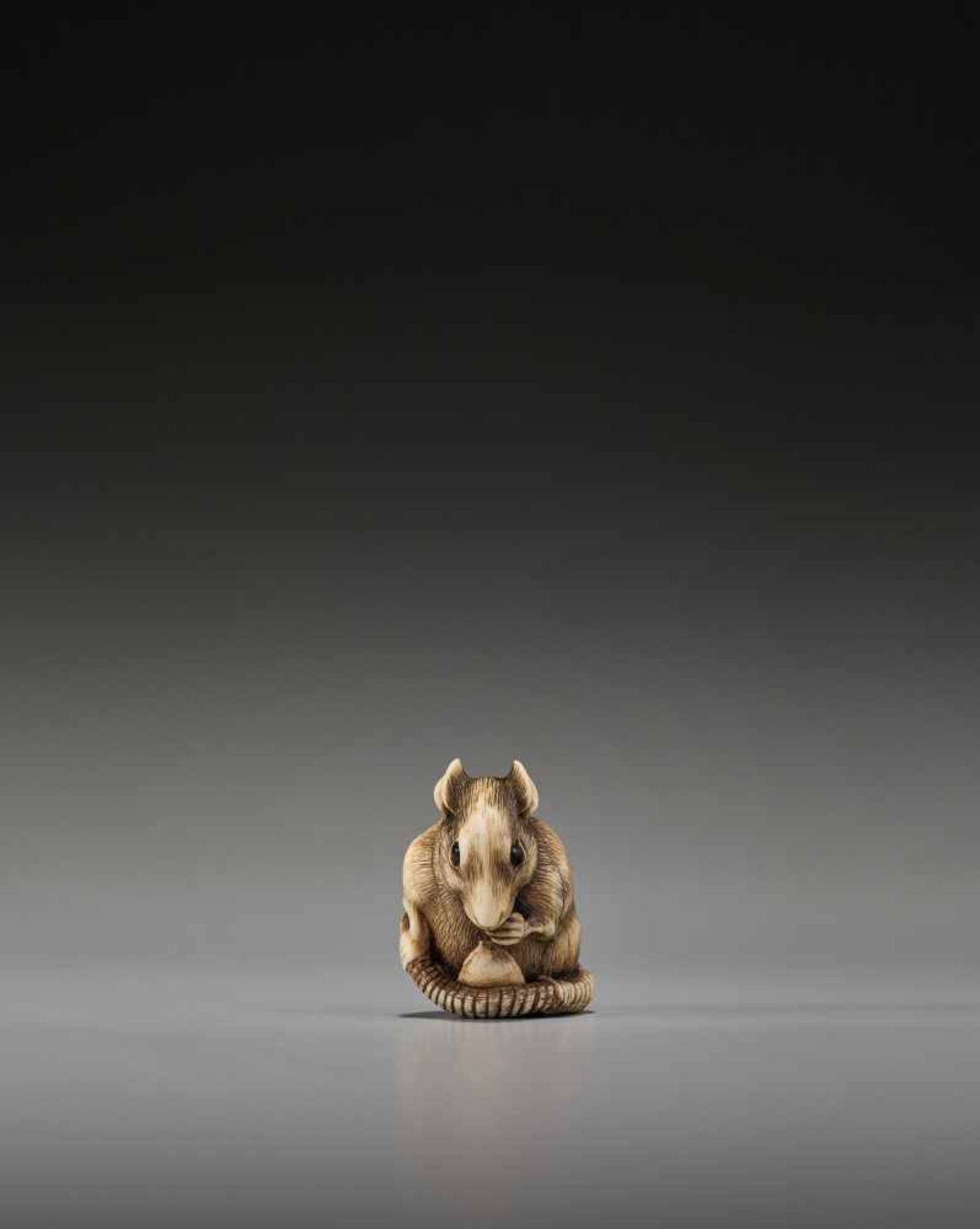 A POWERFUL KYOTO SCHOOL IVORY NETSUKE OF A RAT WITH A BEAN POD