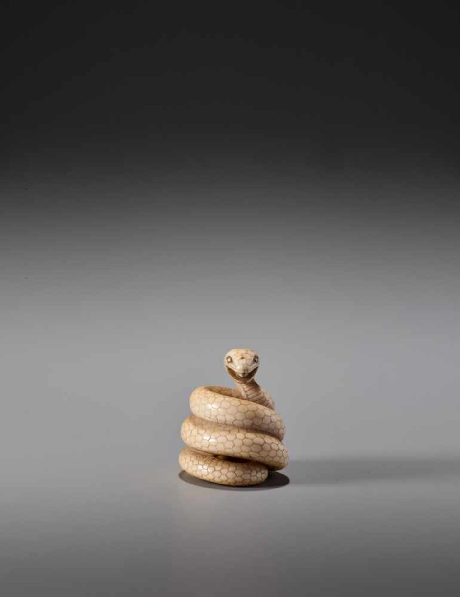 MASANAO: AN IVORY NETSUKE OF A COILED SNAKE - Image 4 of 10