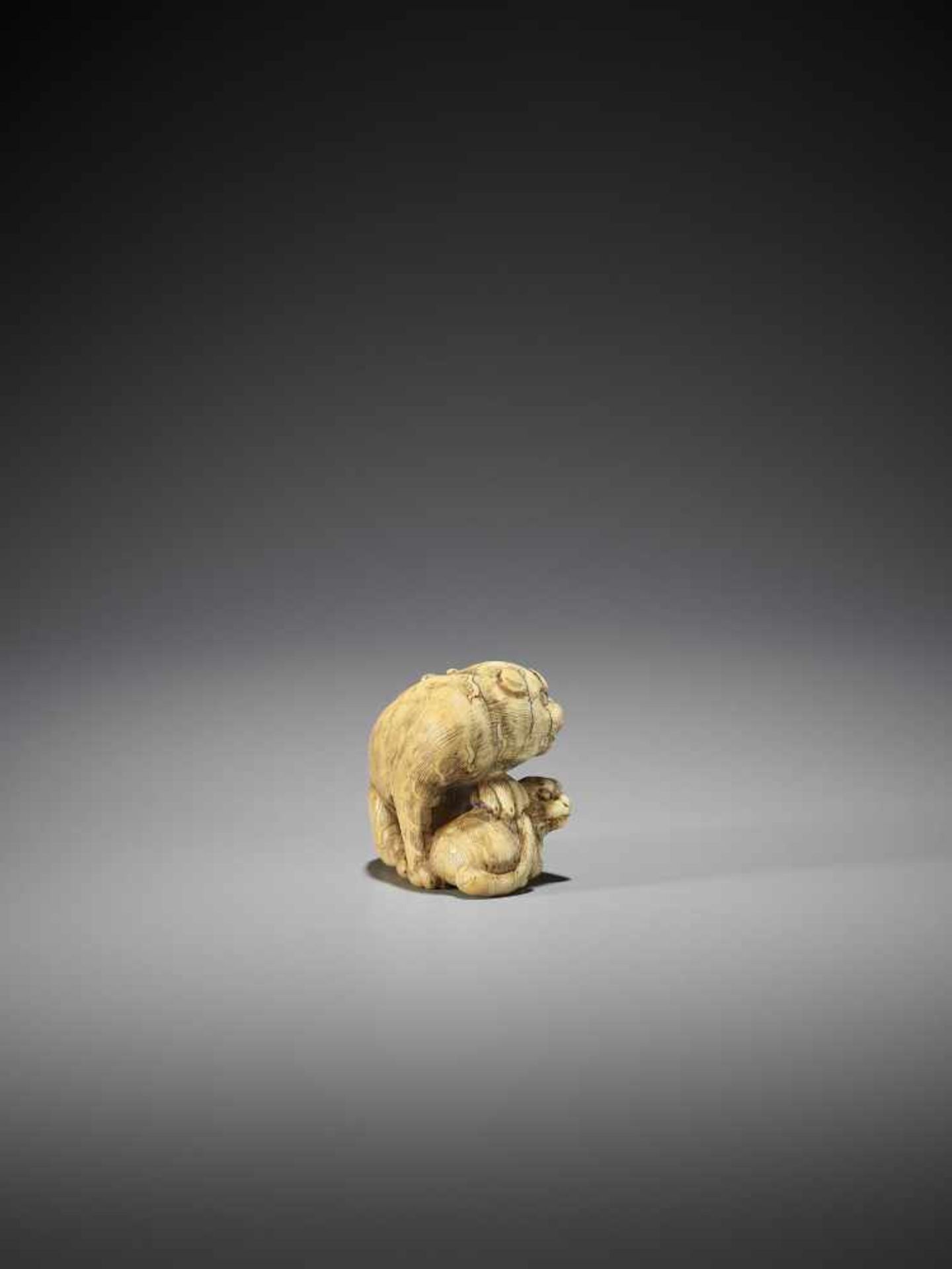 TOMOTADA: AN IVORY NETSUKE OF A TIGER AND CUB - Image 7 of 12