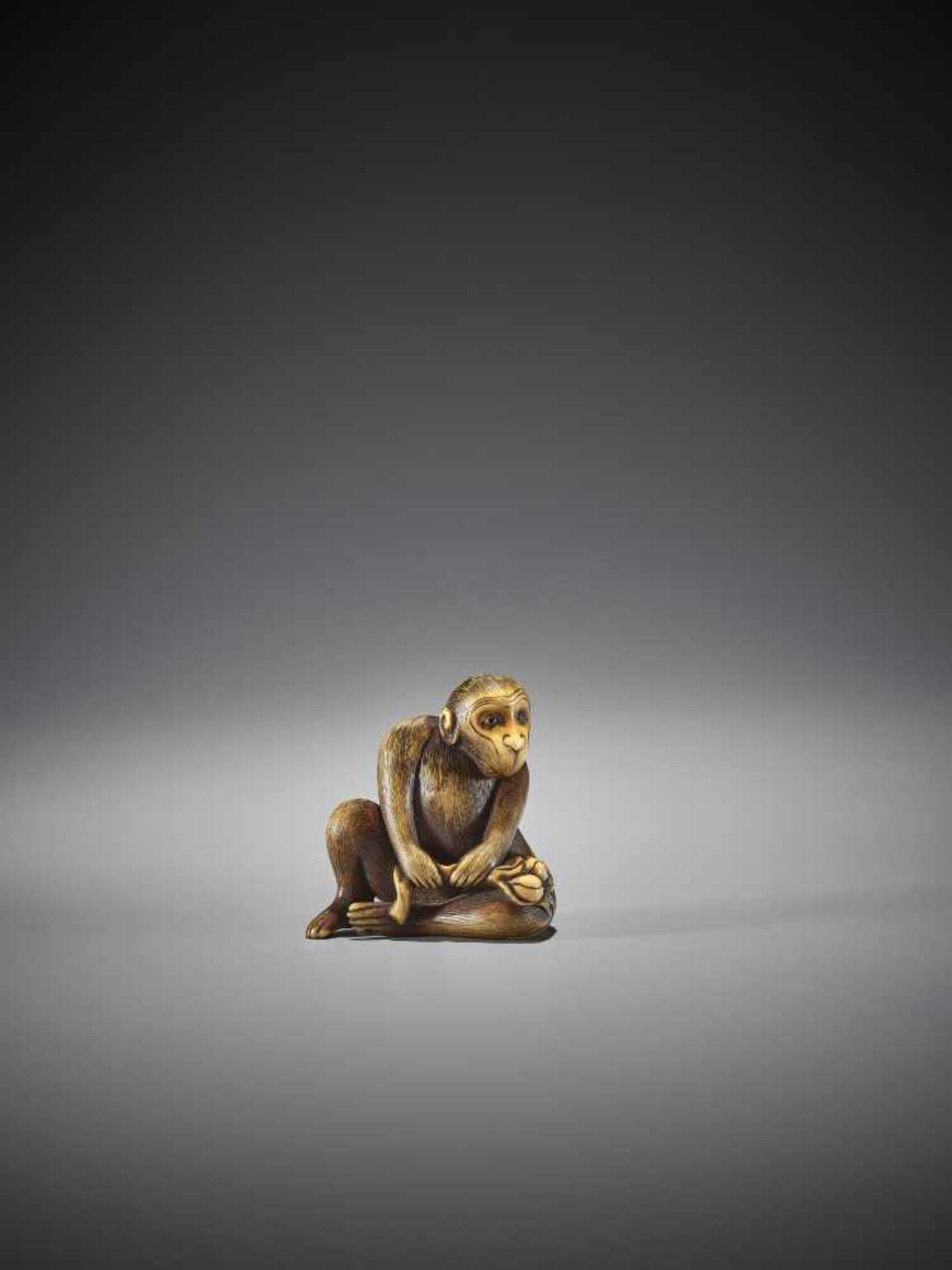 MITSUHARU: AN IVORY NETSUKE OF A MONKEY - Image 8 of 10