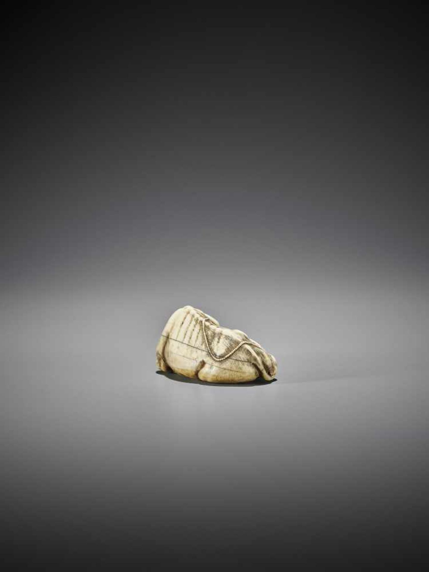 TOMOTADA: A GOOD IVORY NETSUKE OF A RECUMBENT COW WITH CALF - Image 9 of 11