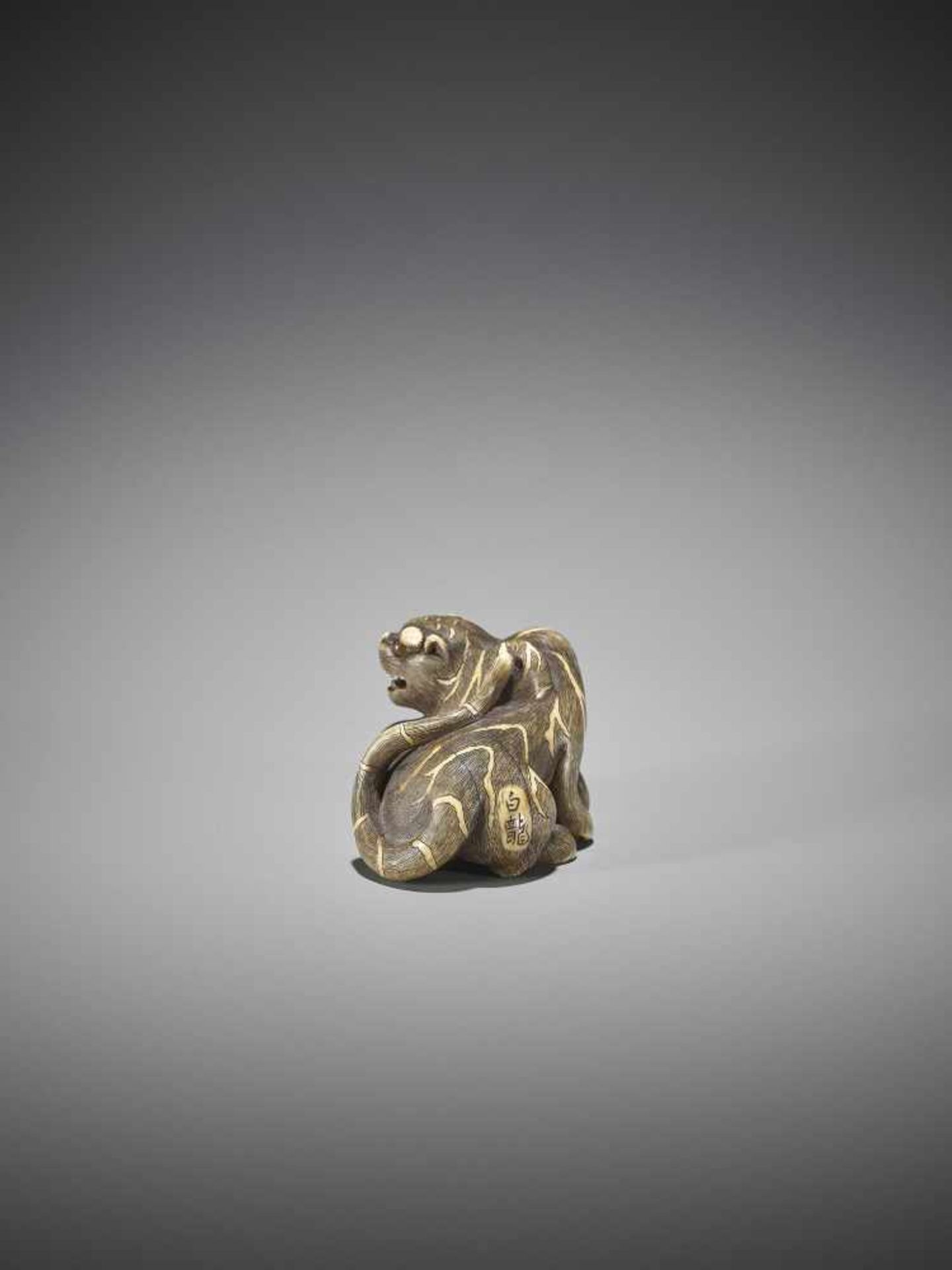 UNSHO HAKURYU II: A SUPERB IVORY NETSUKE OF A TIGER WITH CUB - Bild 6 aus 12