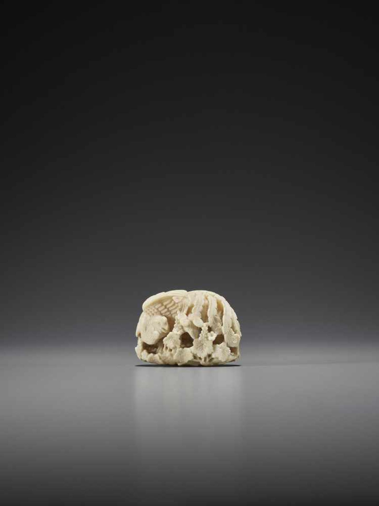 KAGETOSHI: A FINE IVORY NETSUKE OF A HO-O BIRD - Image 7 of 8