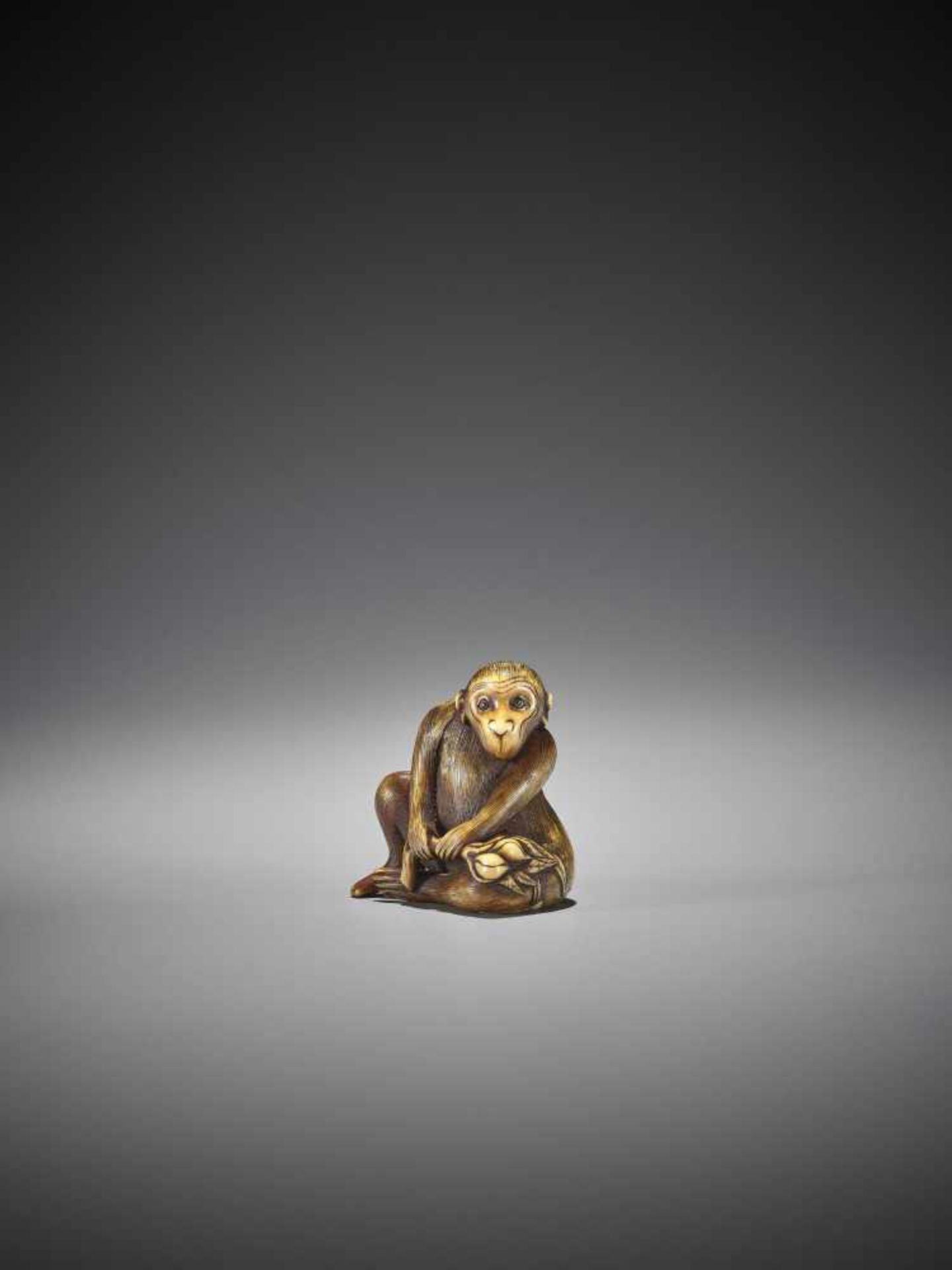 MITSUHARU: AN IVORY NETSUKE OF A MONKEY - Image 3 of 10