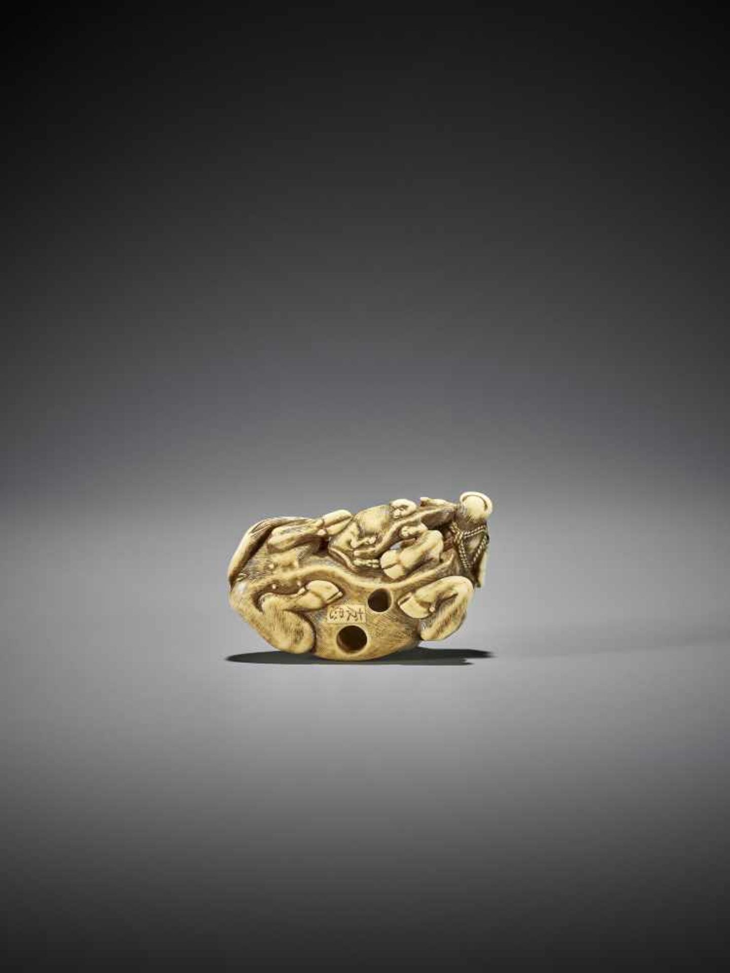 TOMOTADA: A GOOD IVORY NETSUKE OF A RECUMBENT COW WITH CALF - Image 4 of 11