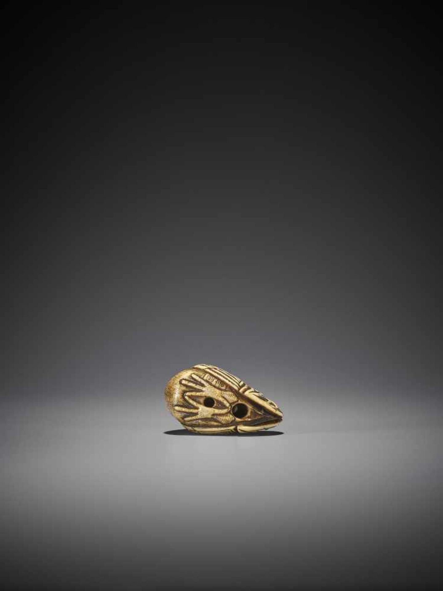 OKAKOTO: A FINE IVORY NETSUKE OF A COCKEREL - Image 8 of 10