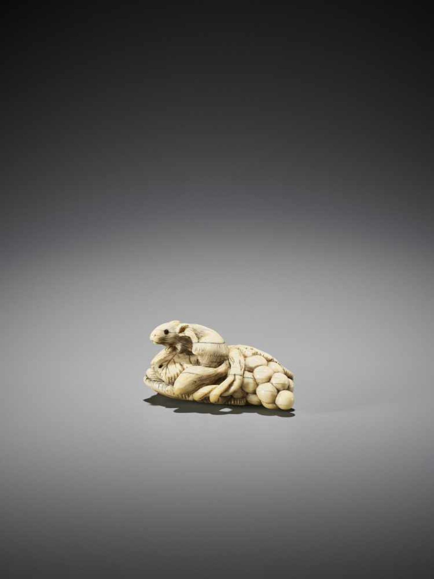AN IVORY NETSUKE OF A SQUIRELL AND GRAPES - Image 2 of 10