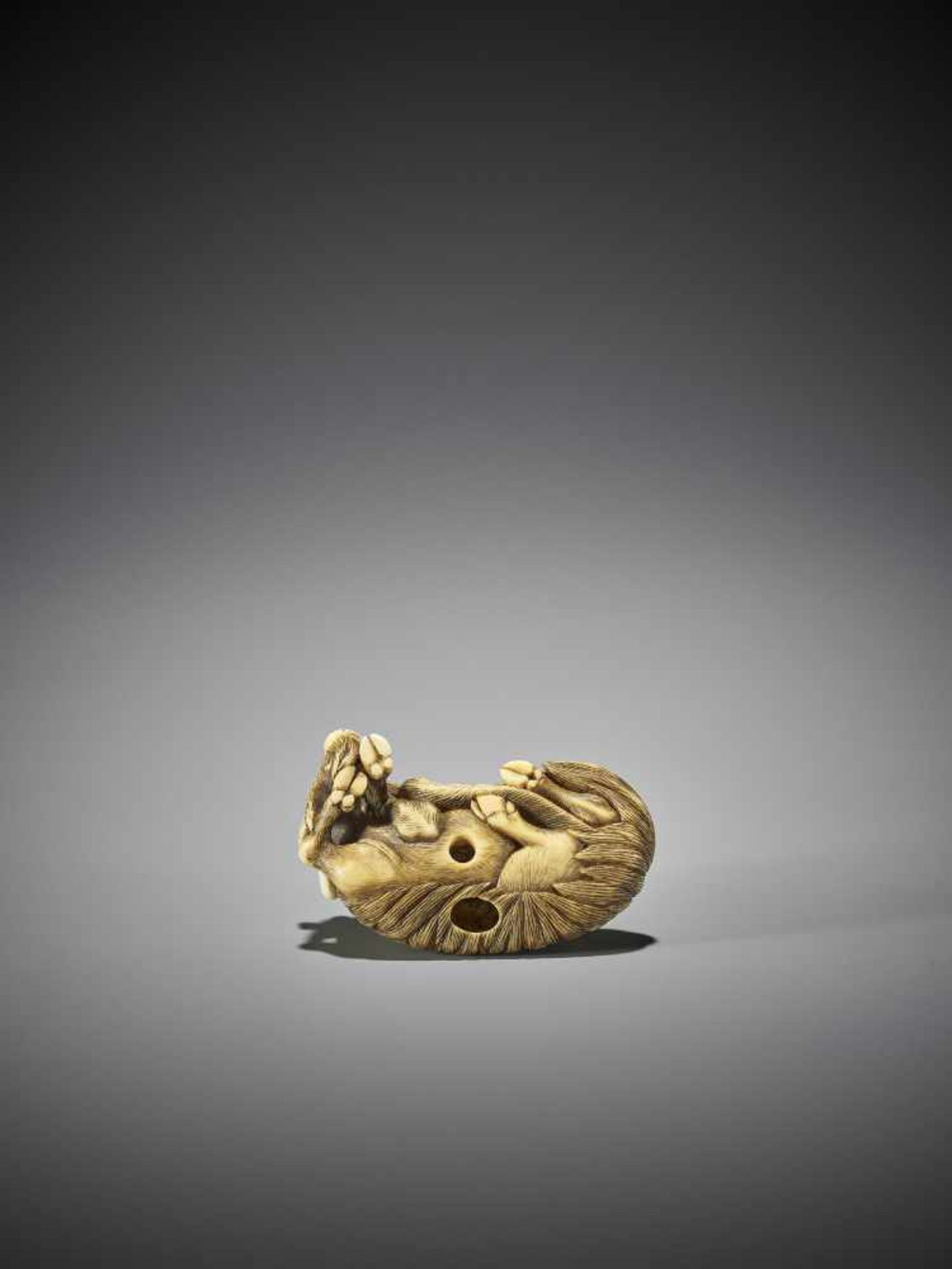 MASANAO (ATTR.): A SUPERB IVORY NETSUKE OF A RECUMBENT GOAT - Image 3 of 13