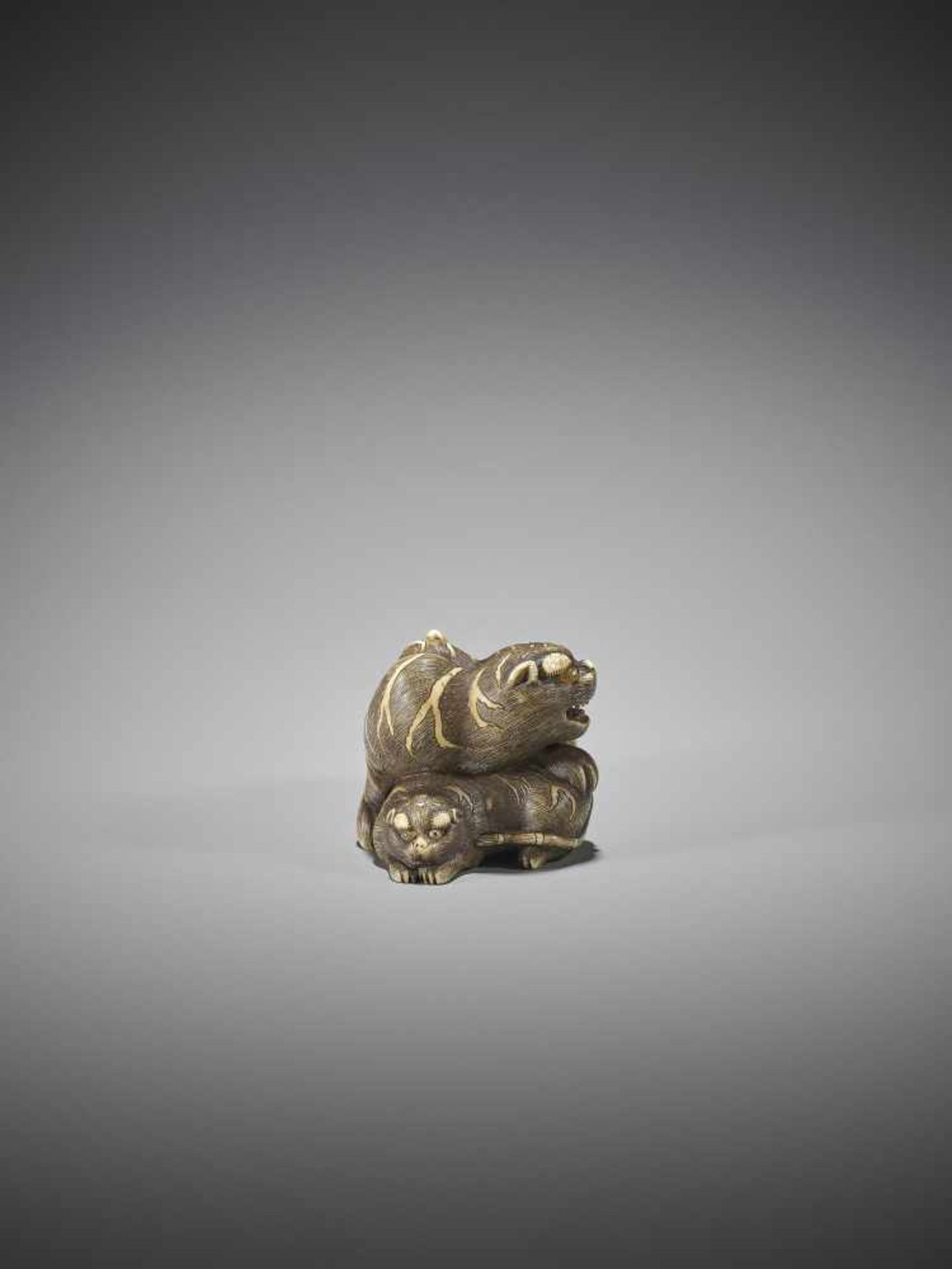 UNSHO HAKURYU II: A SUPERB IVORY NETSUKE OF A TIGER WITH CUB - Bild 8 aus 12